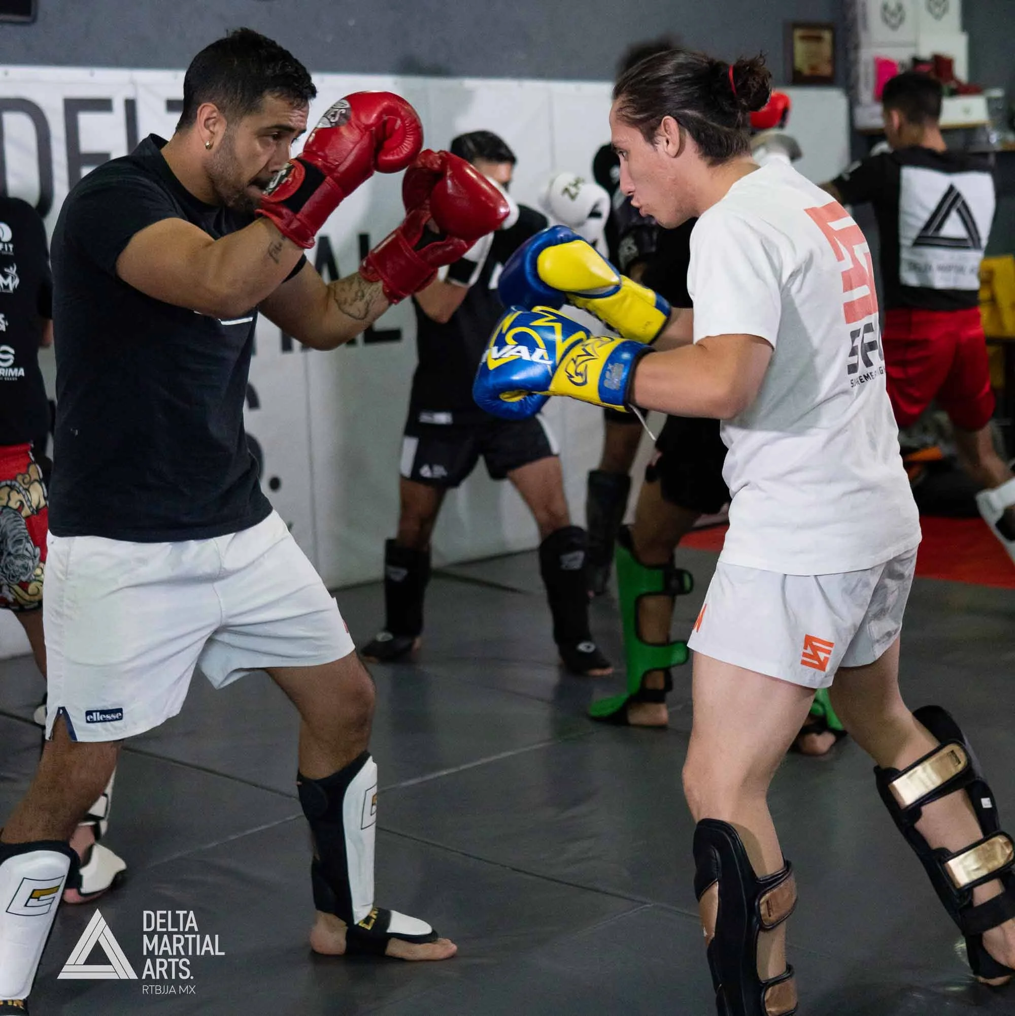 delta-martial-arts-seminarios-250221-00008.jpg