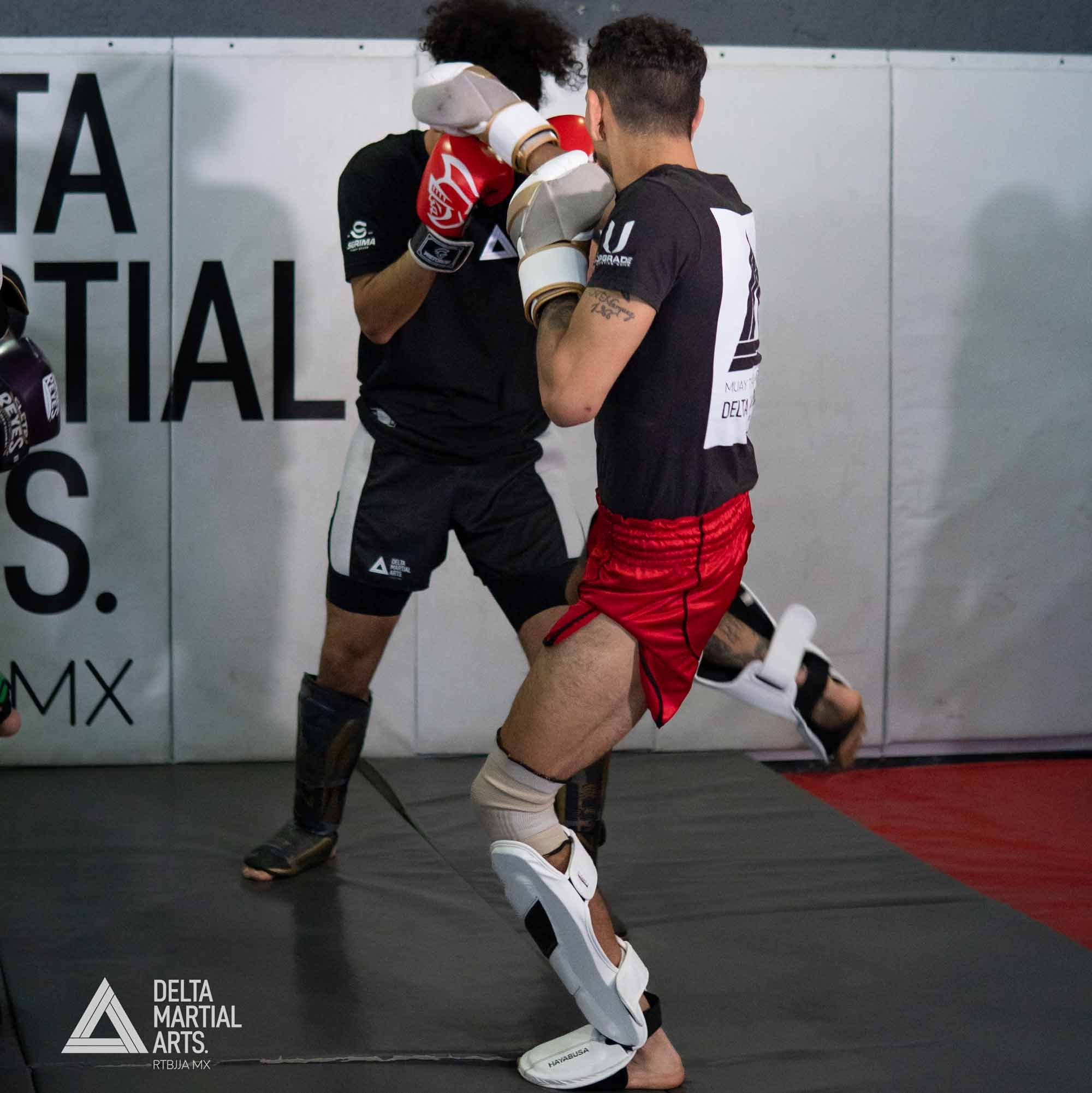 delta-martial-arts-seminarios-250221-00009.jpg