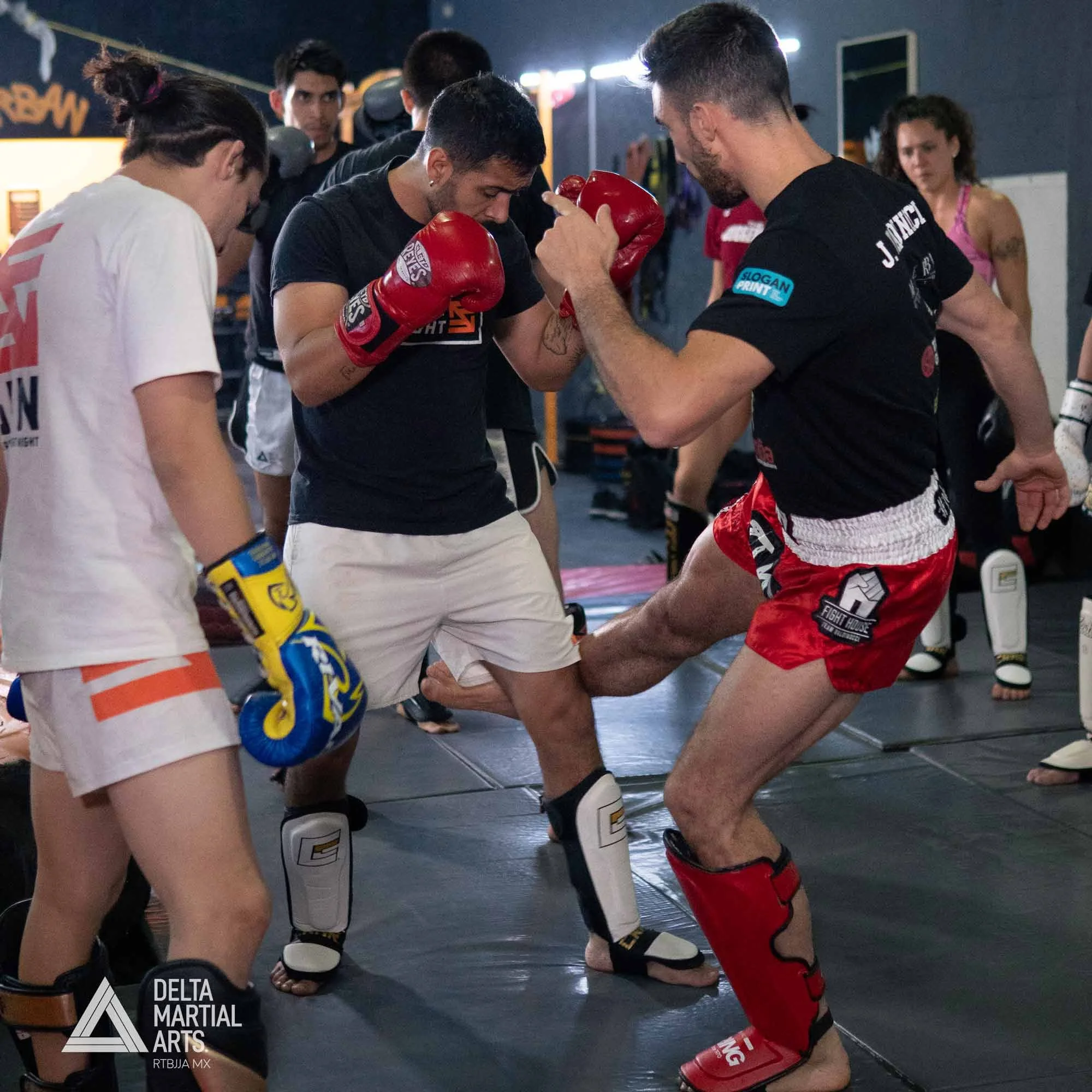 delta-martial-arts-seminarios-250221-00010.jpg