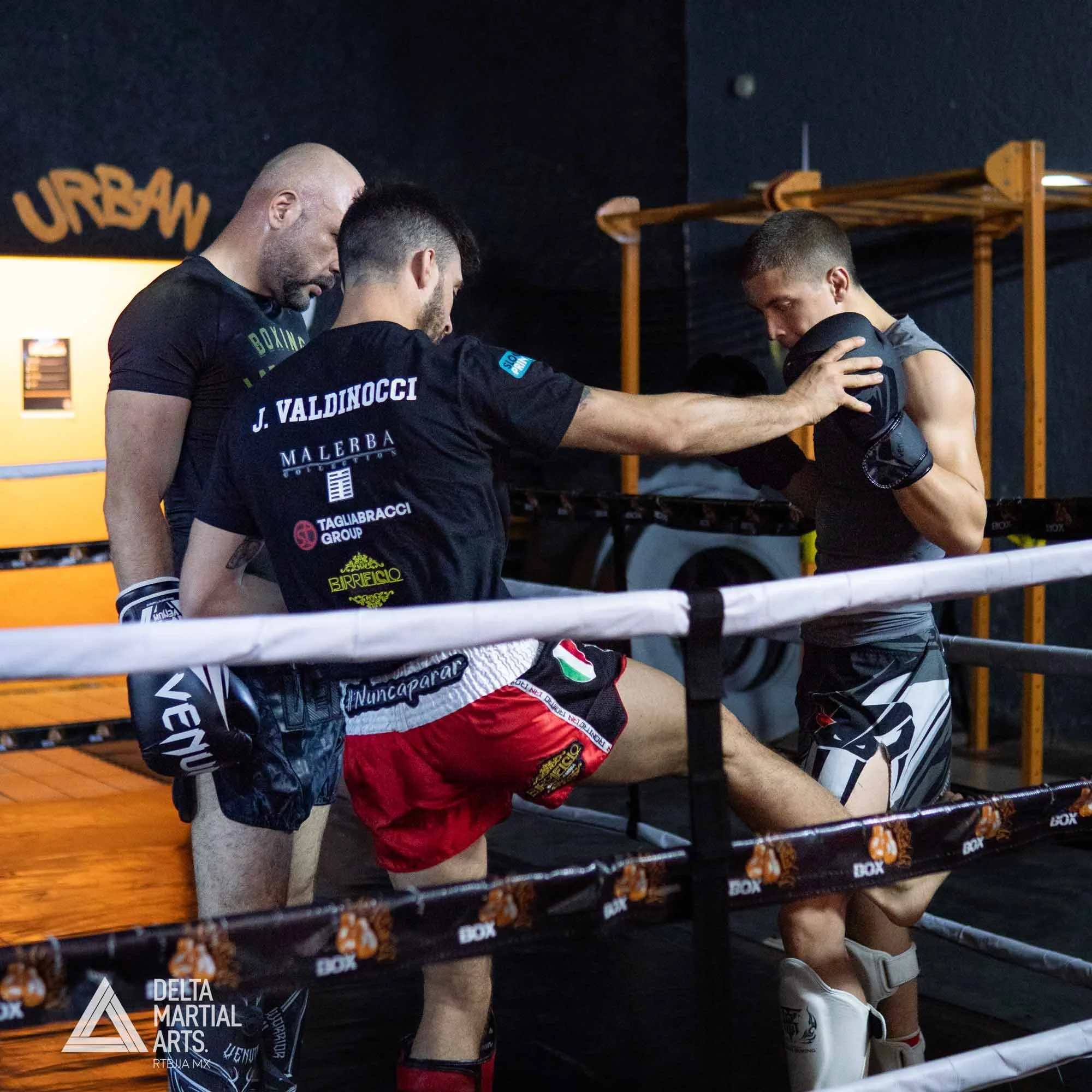delta-martial-arts-seminarios-250221-00011.jpg