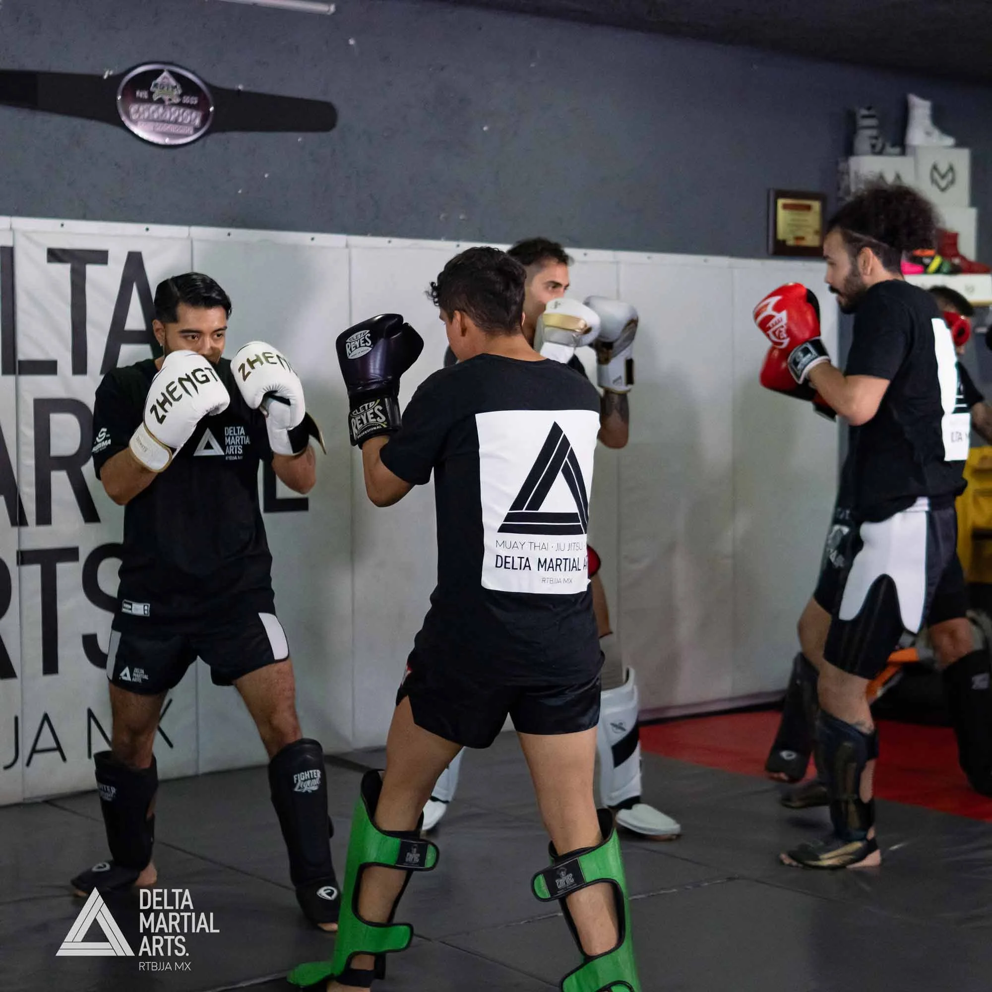 delta-martial-arts-seminarios-250221-00012.jpg