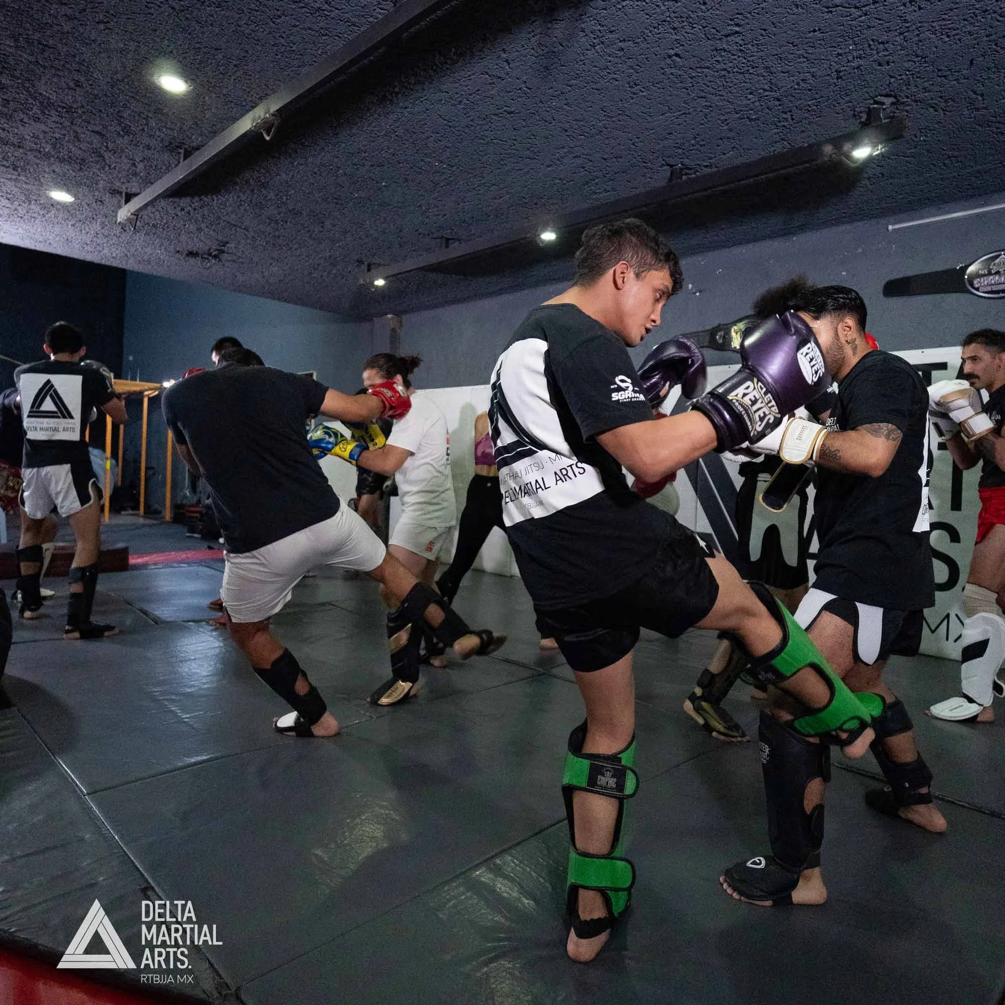 delta-martial-arts-seminarios-250221-00014.jpg