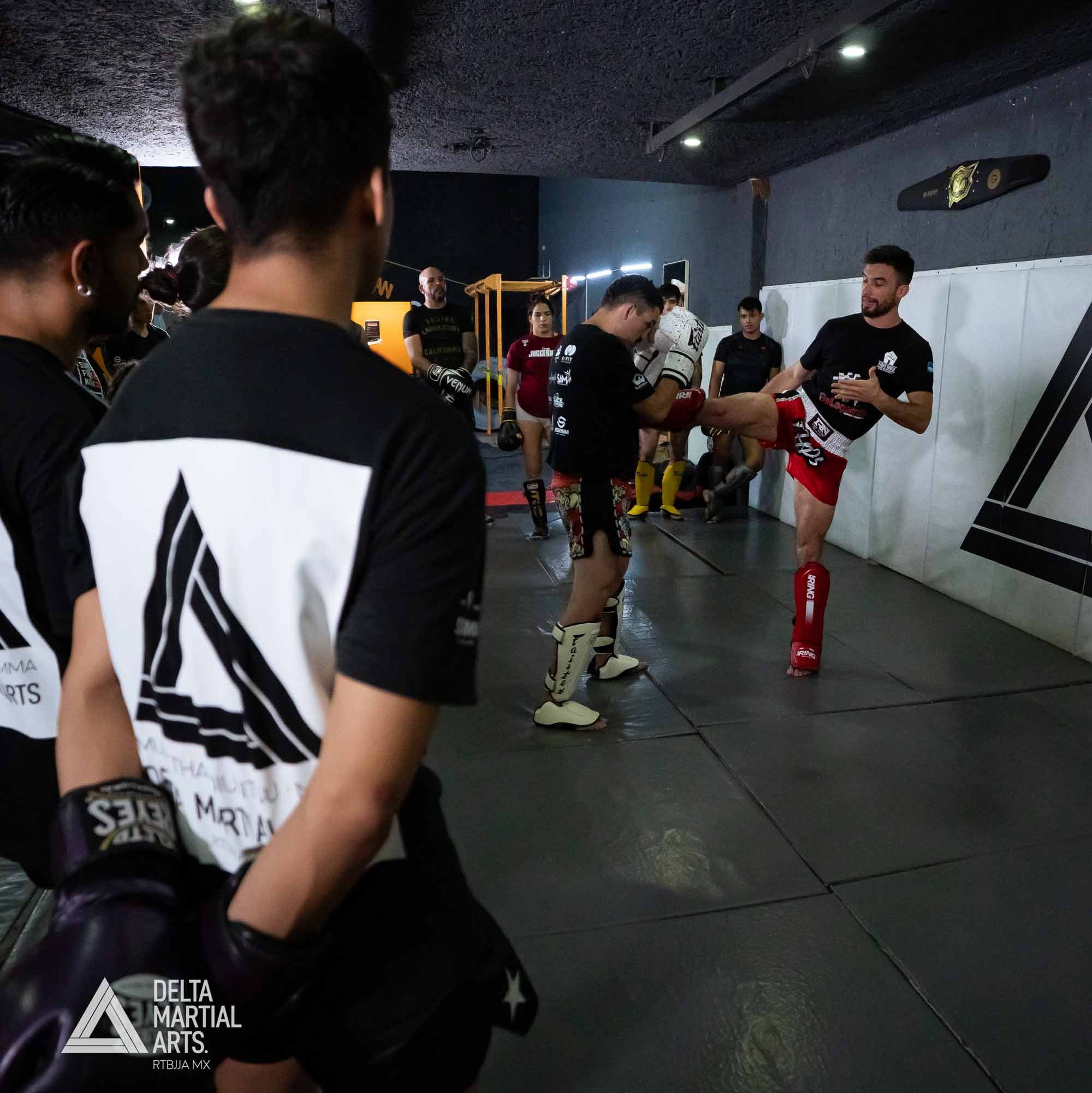 delta-martial-arts-seminarios-250221-00015.jpg