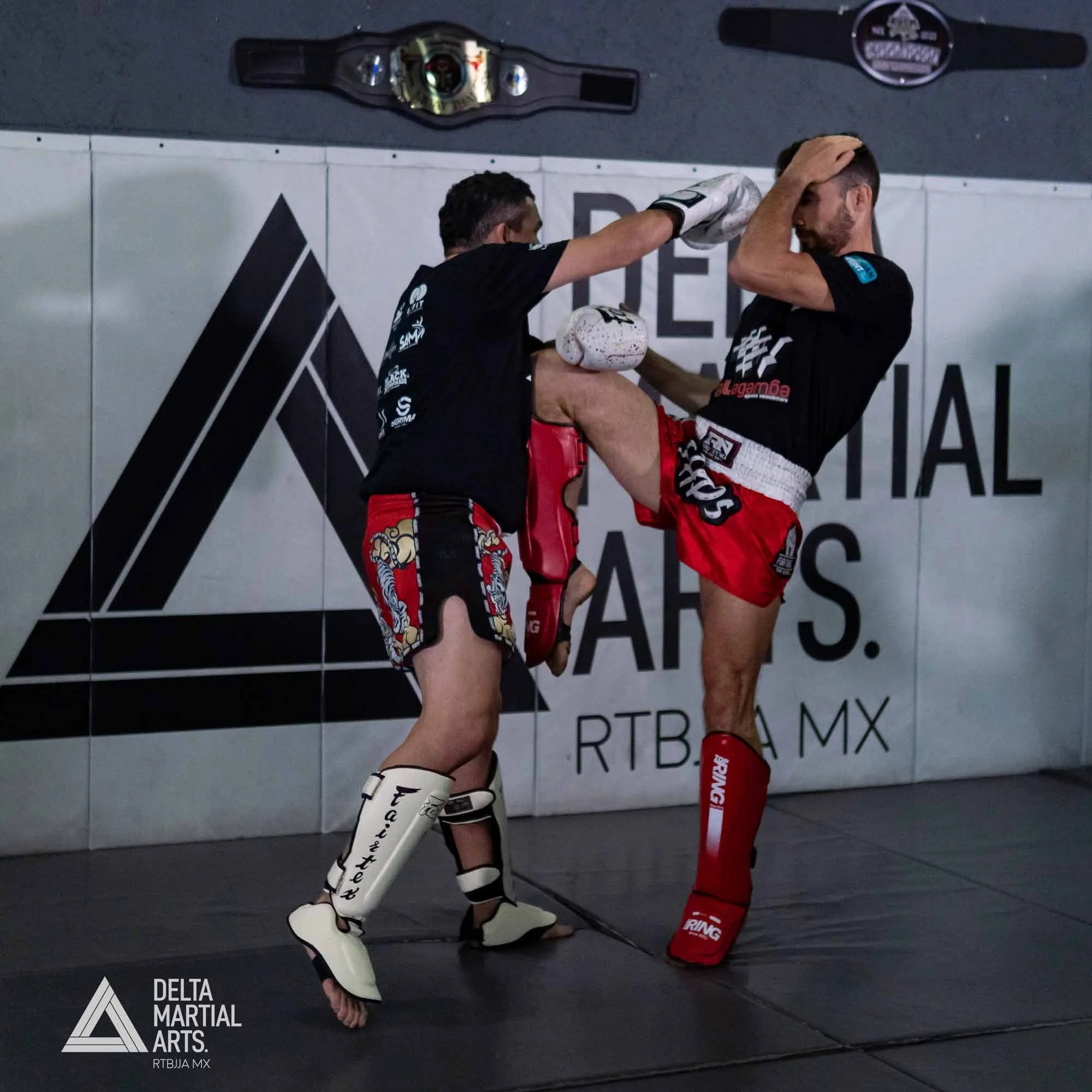 delta-martial-arts-seminarios-250221-00018.jpg
