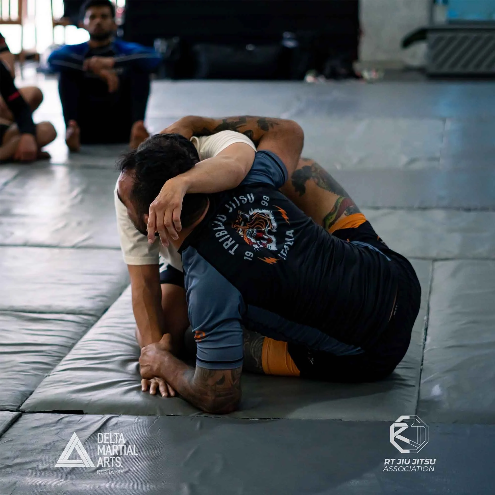 delta-martial-arts-seminarios-260222-DSC0923700016.jpg