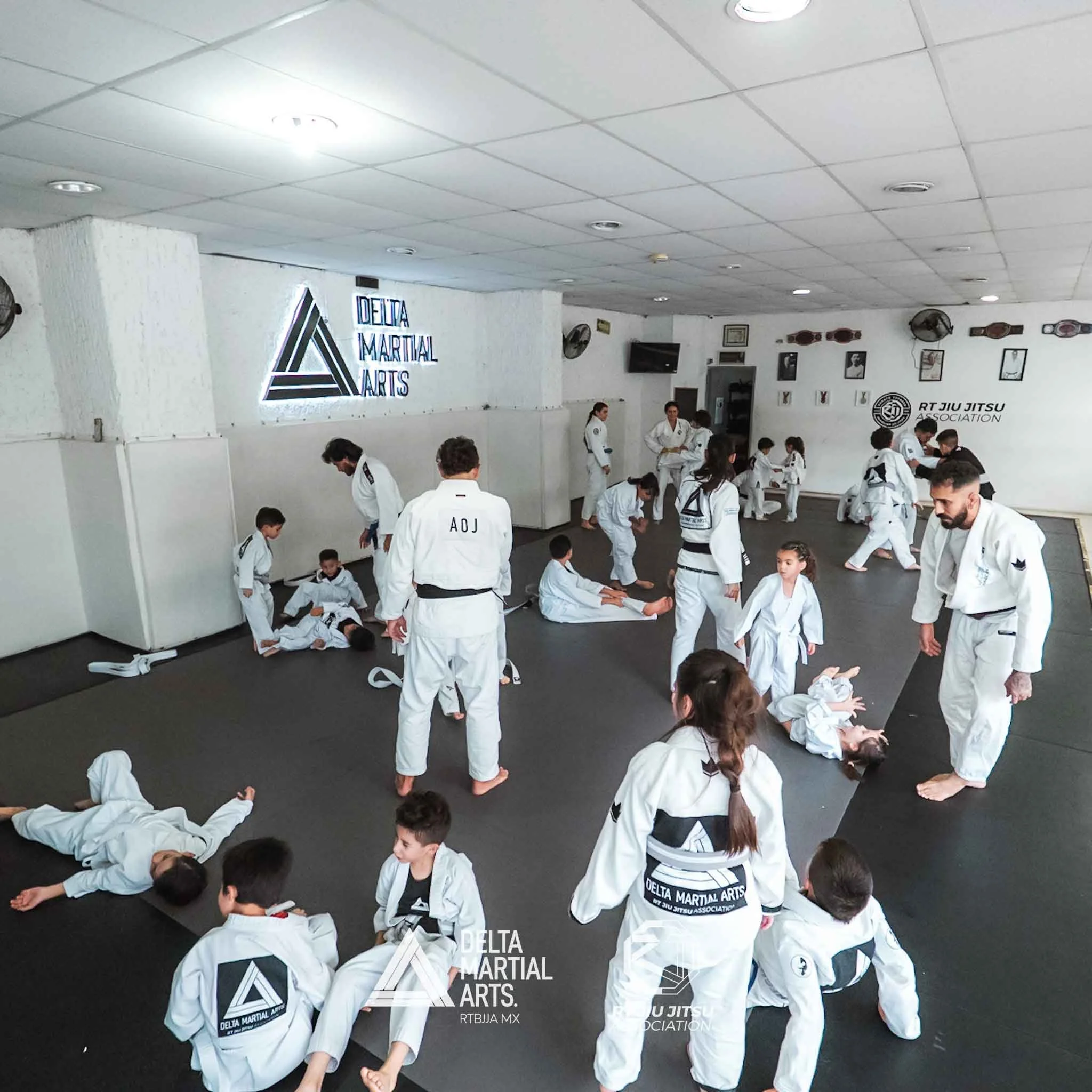 delta-marial-arts-seminarios-img-260605-DSC09068-23.jpg