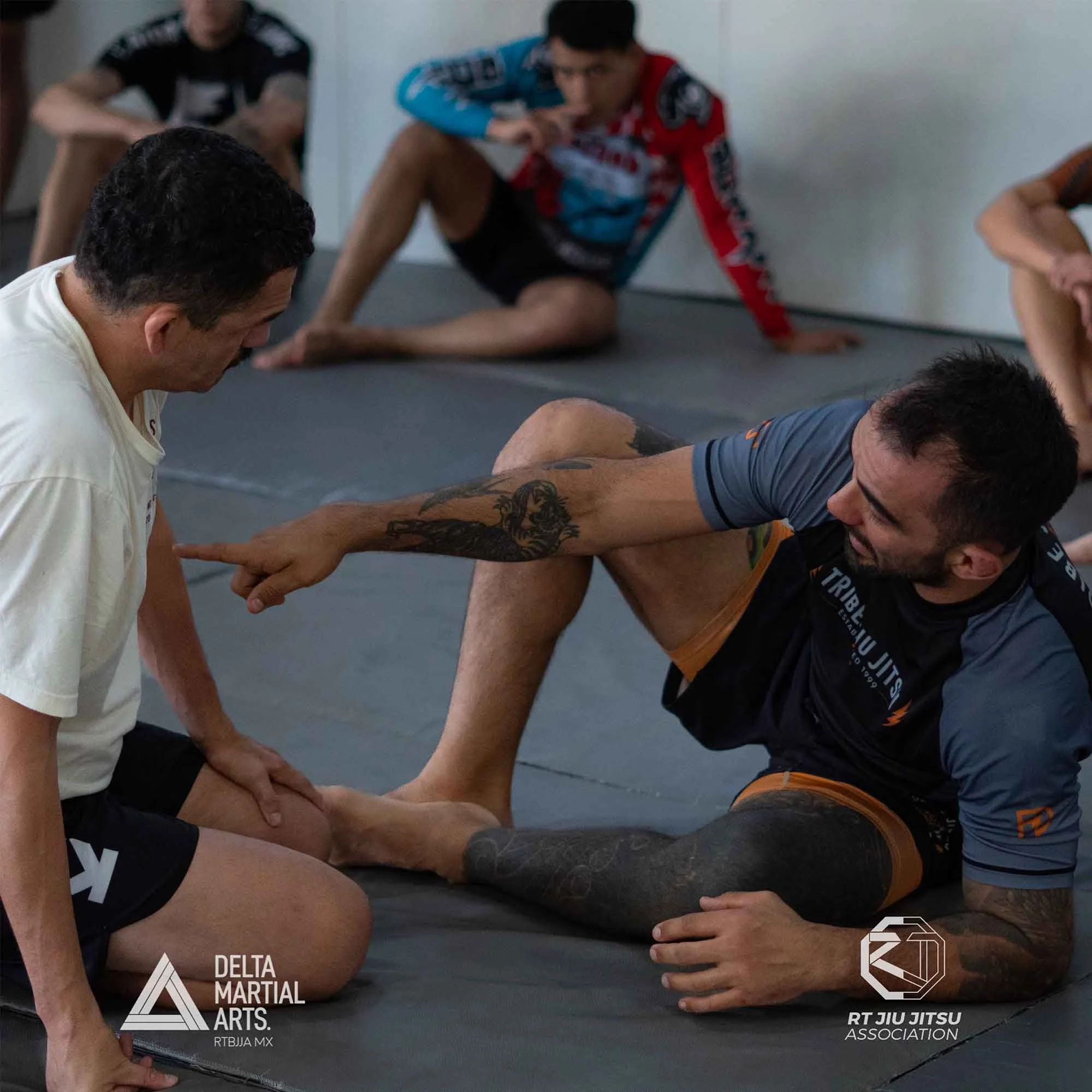 delta-martial-arts-seminarios-260222-DSC0923700015.jpg