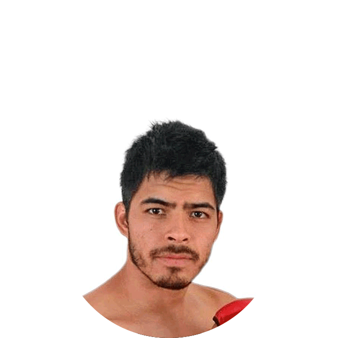  LUIS "GORI" RODRÍGUEZ 
 MMA COACH 
 Peleador profesional de MMA 
Más de 10 años de experiencia 