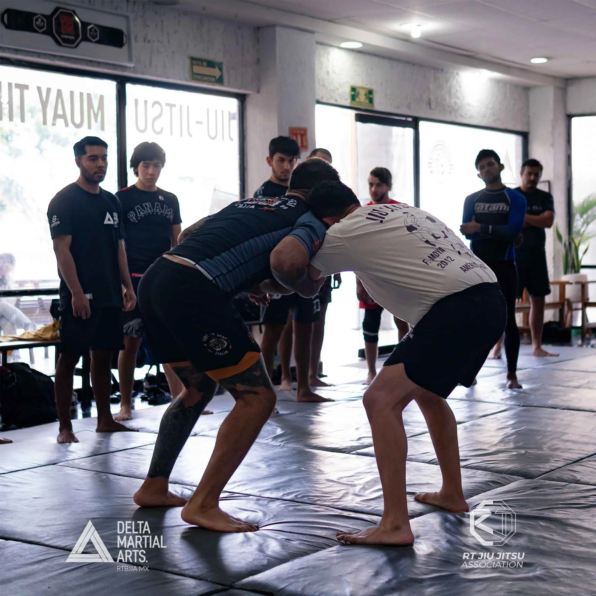 delta-martial-arts-seminarios-260222-DSC0923700005.jpg