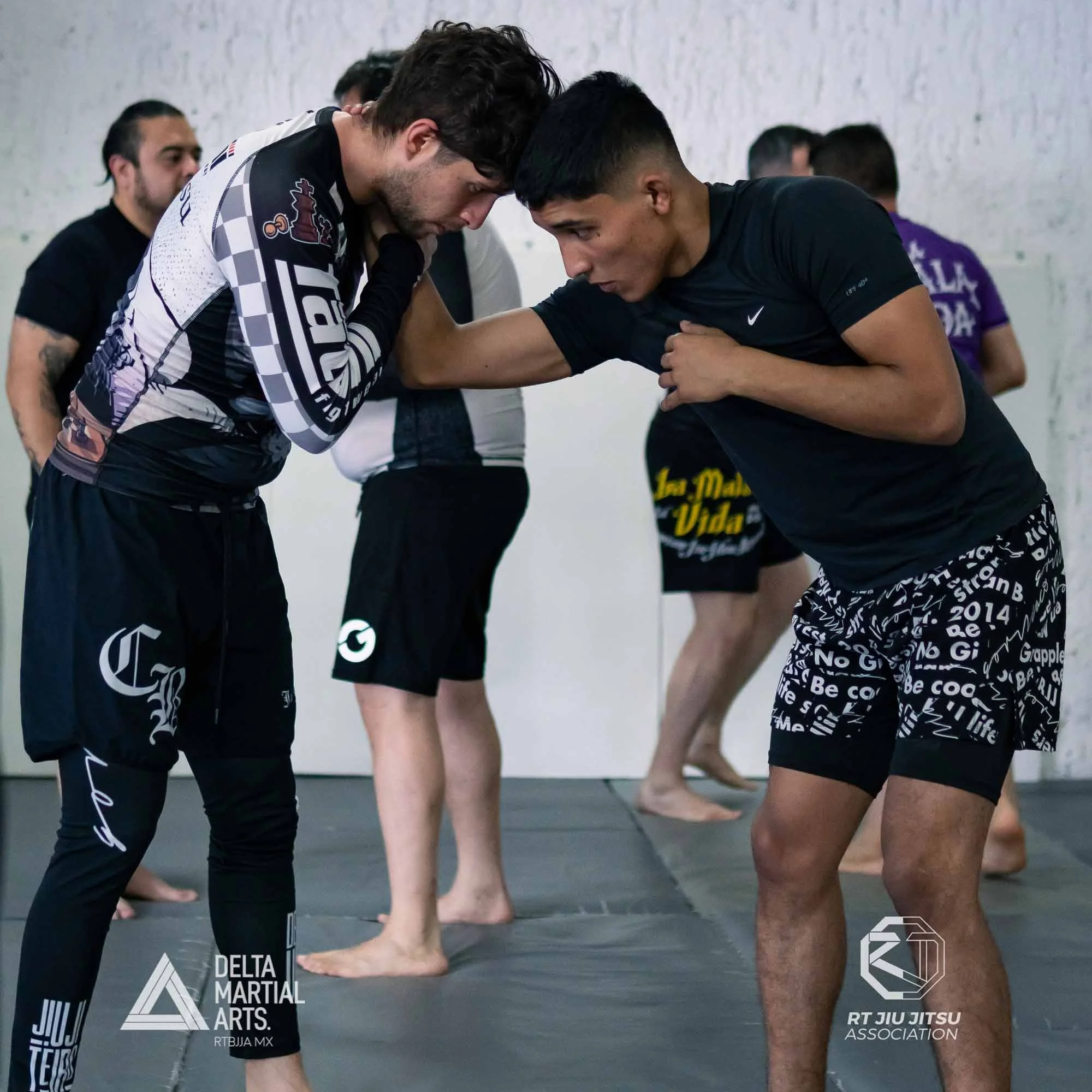 delta-martial-arts-seminarios-260222-DSC0923700006.jpg
