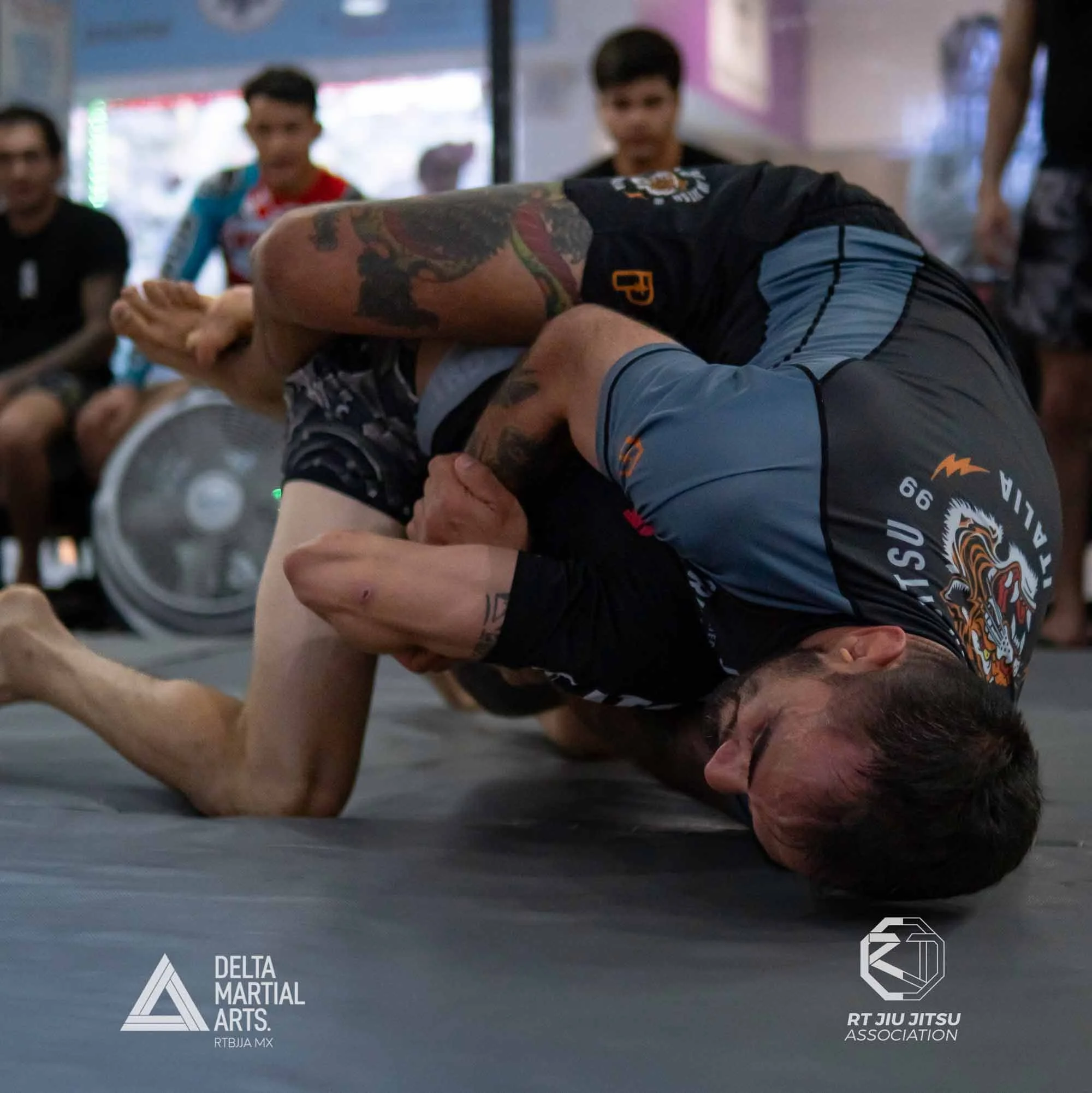 delta-martial-arts-seminarios-260222-DSC0923700022.jpg