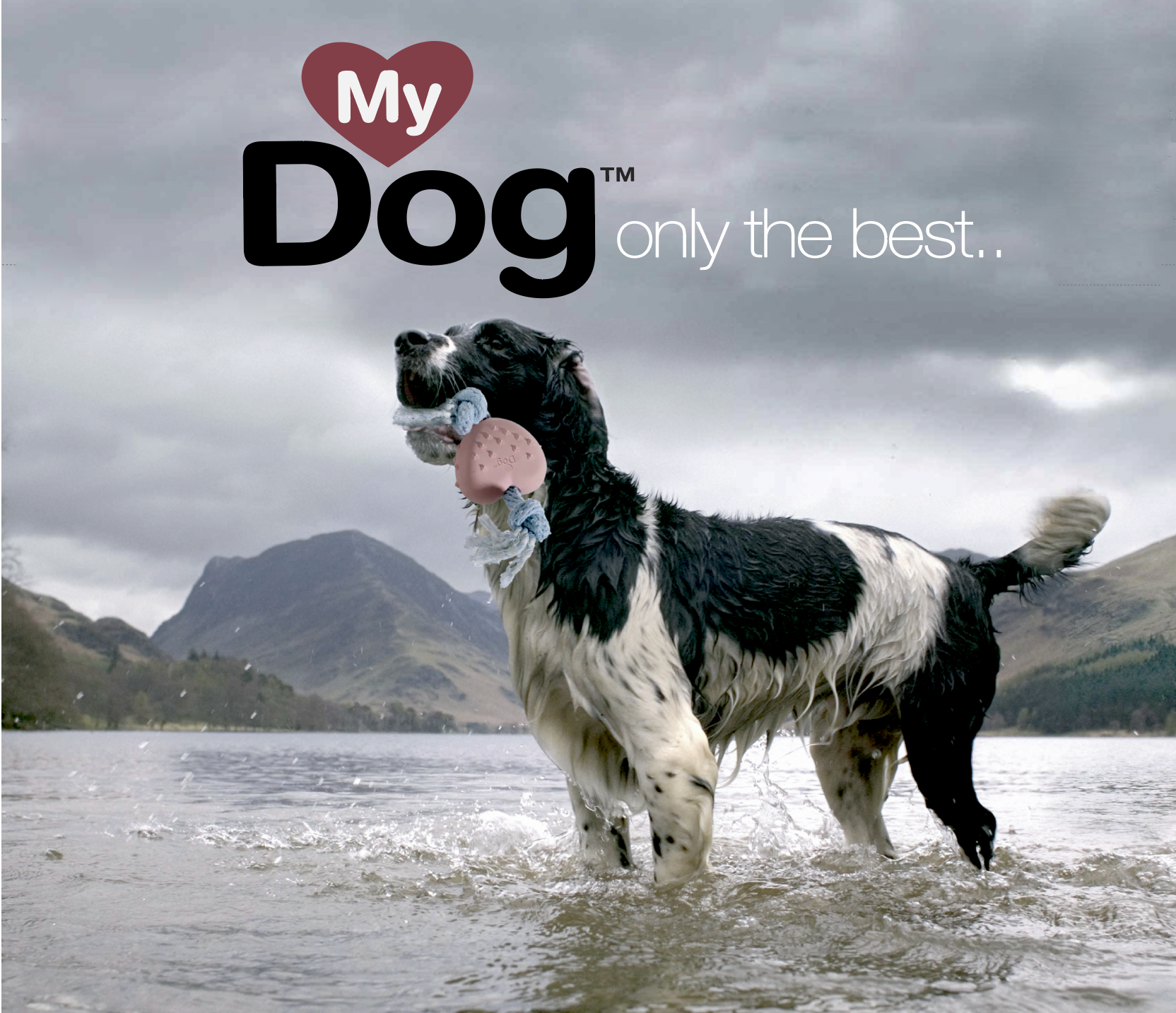 Screenshot 2026-03-12 at 4.00.44 PM.png