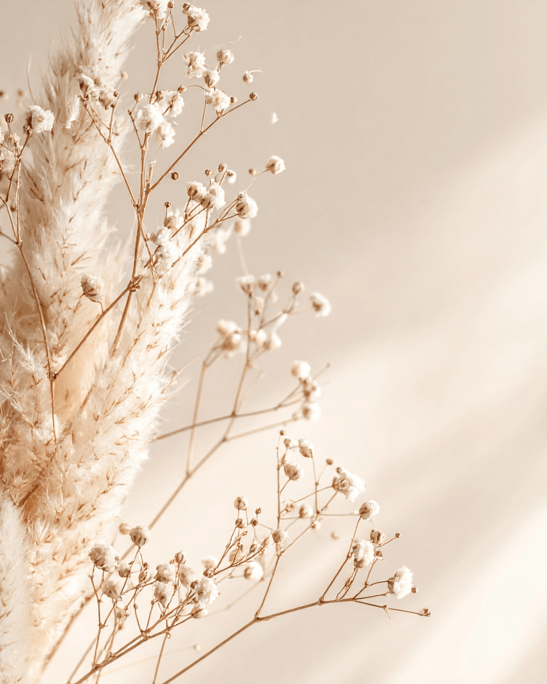 Dried white flowers and pampas grass against a beige background.