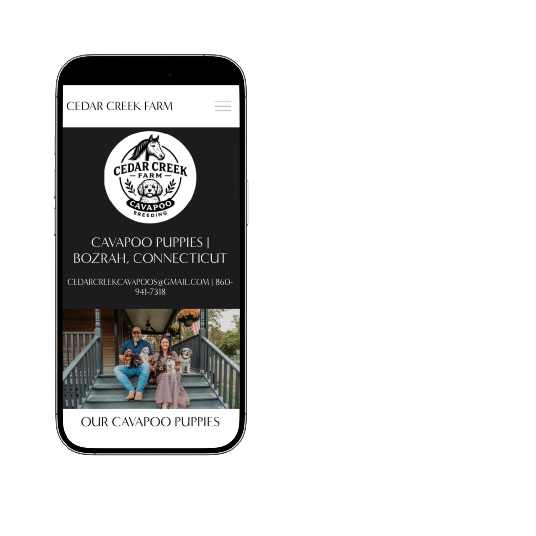 website design mobile friendly MS designs freelance graphic designer