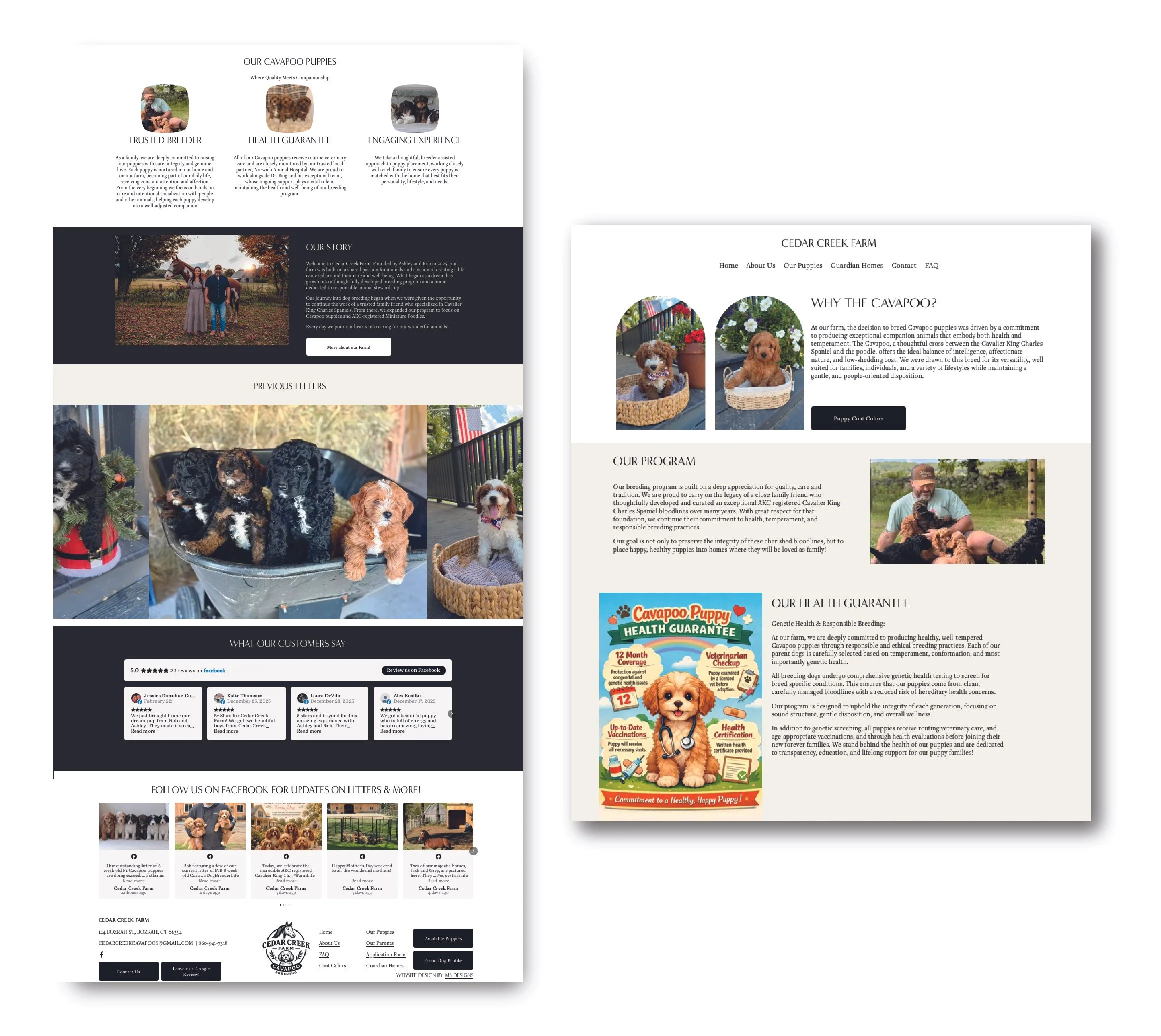 website design dog breeder MS designs graphic designer freelance