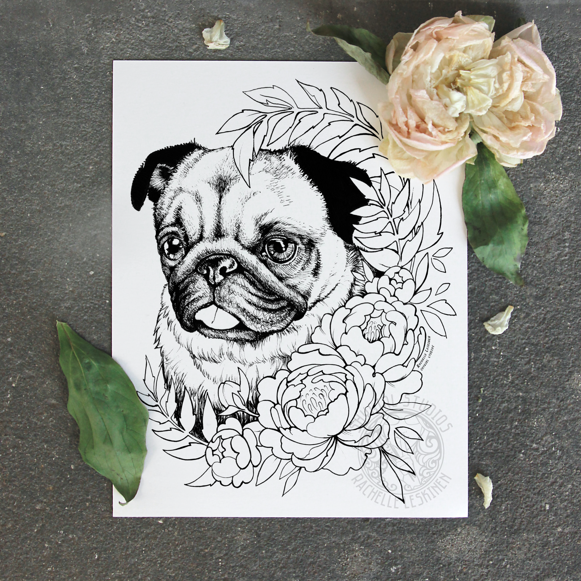 Pet Portrait - Pug
