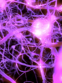Microscopic view of interconnected neon purple neural network fibers with glowing nodes.