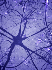 A view of tree branches against a purple-lit sky with electric-like patterns in the background.