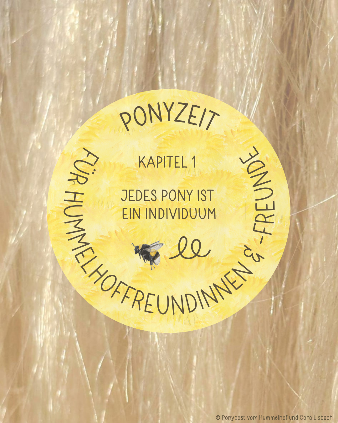 PONYZEIT Kapitel 1 : Jedes Pony ist ein Individuum 
