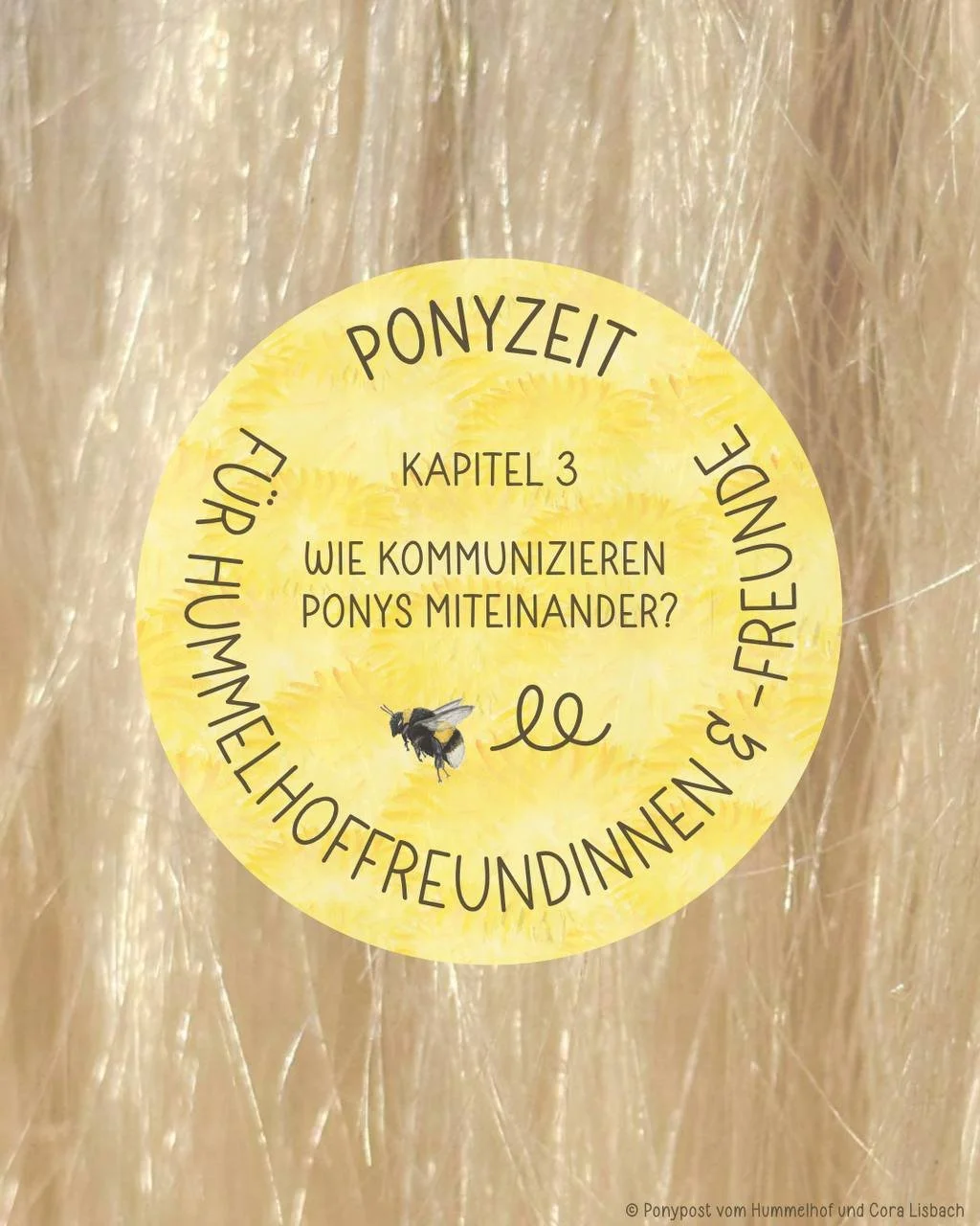 PONYZEIT Kapitel 3: Wie kommunizieren Ponys miteinander ?