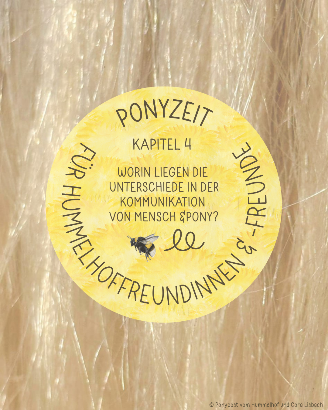 PONYZEIT Kapitel 4: Worin liegen die Unterschiede in der Natur von Mensch&amp;Pony ?