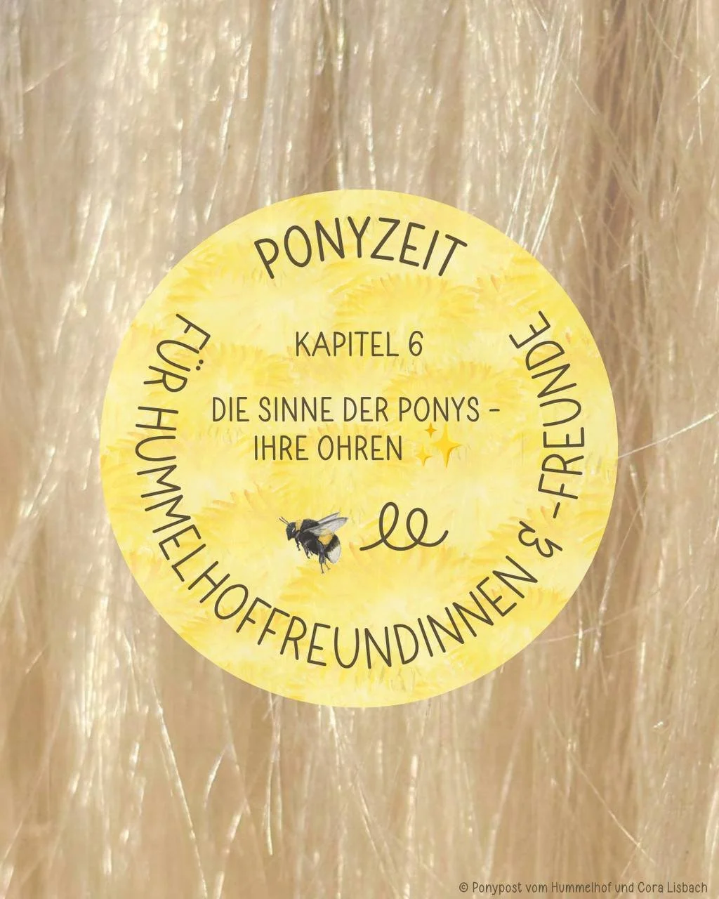 PONYZEIT Kapitel 6: Die Sinne der Ponys - Ihre Nase