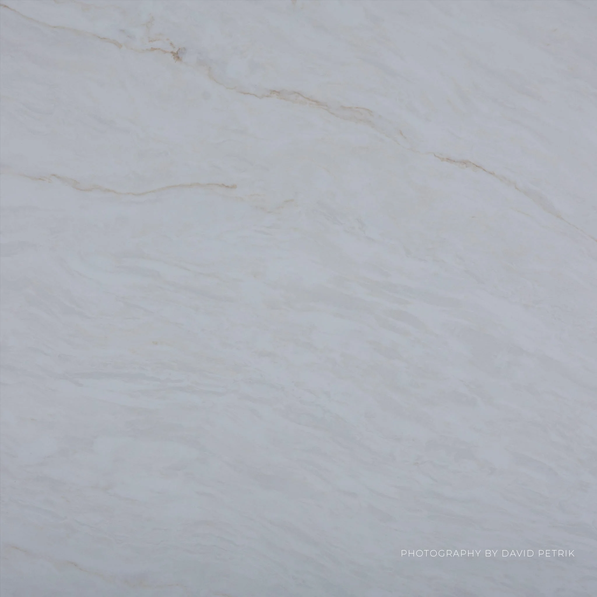 Valbella Studio Macro.jpg