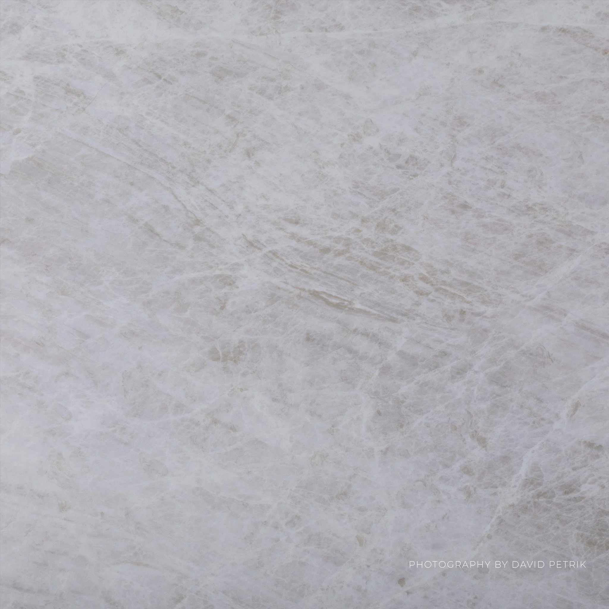 Taj Studio Macro.jpg