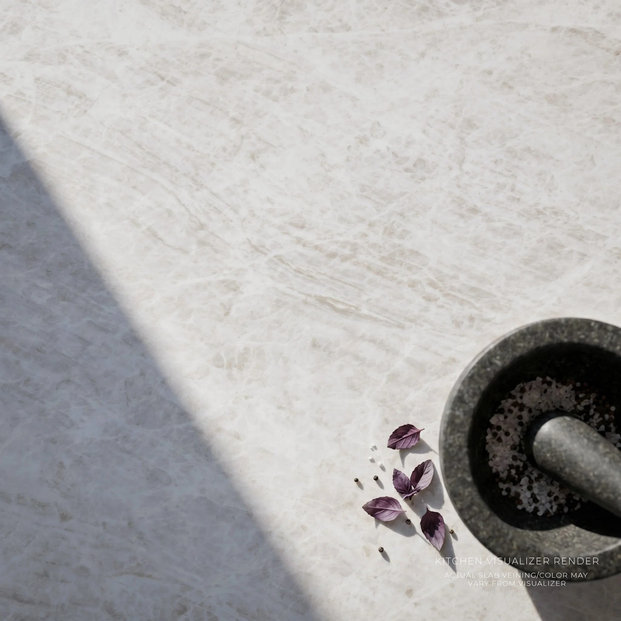 Taj Kitchen Macro.jpg