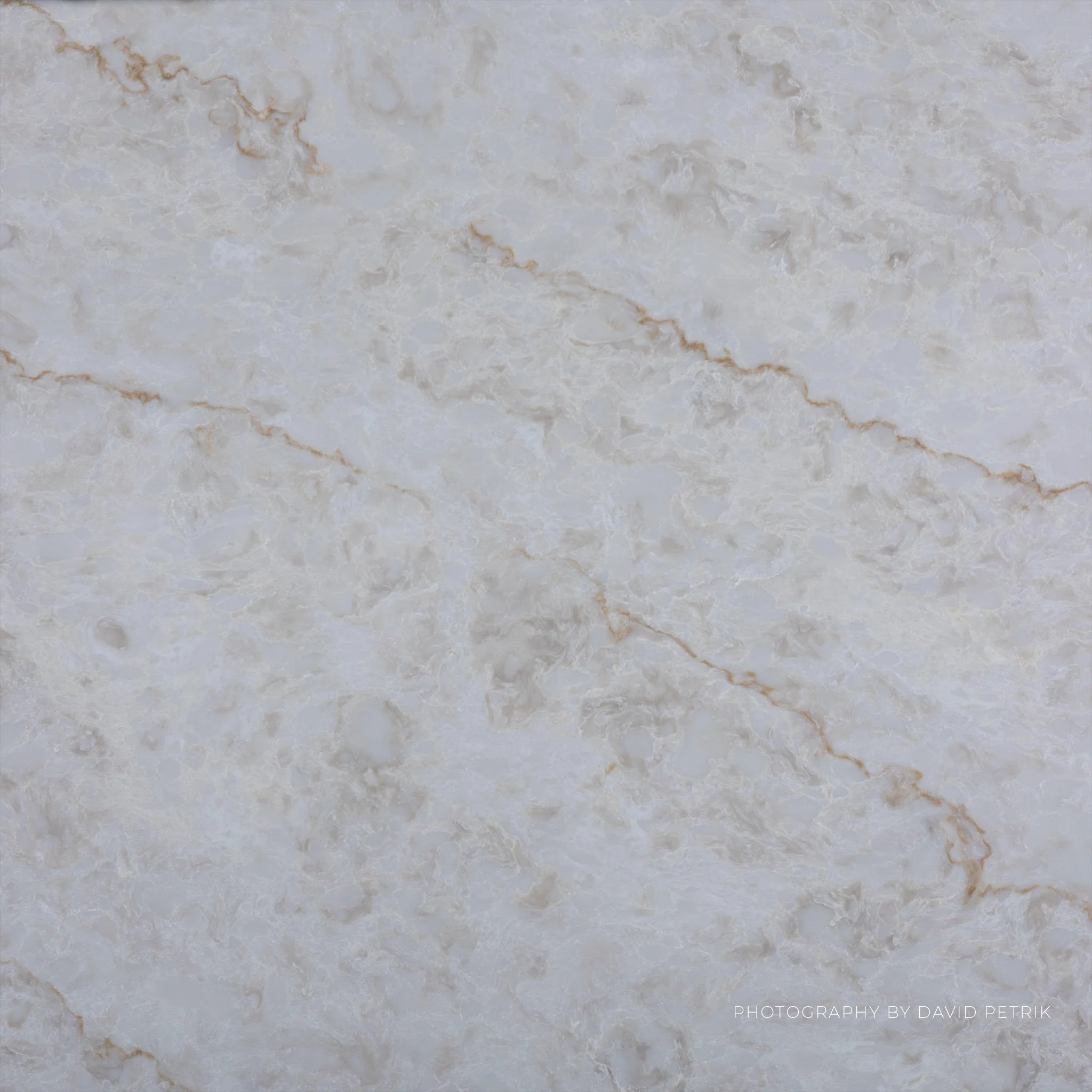 Taj Kitchen Studio Macro.jpg