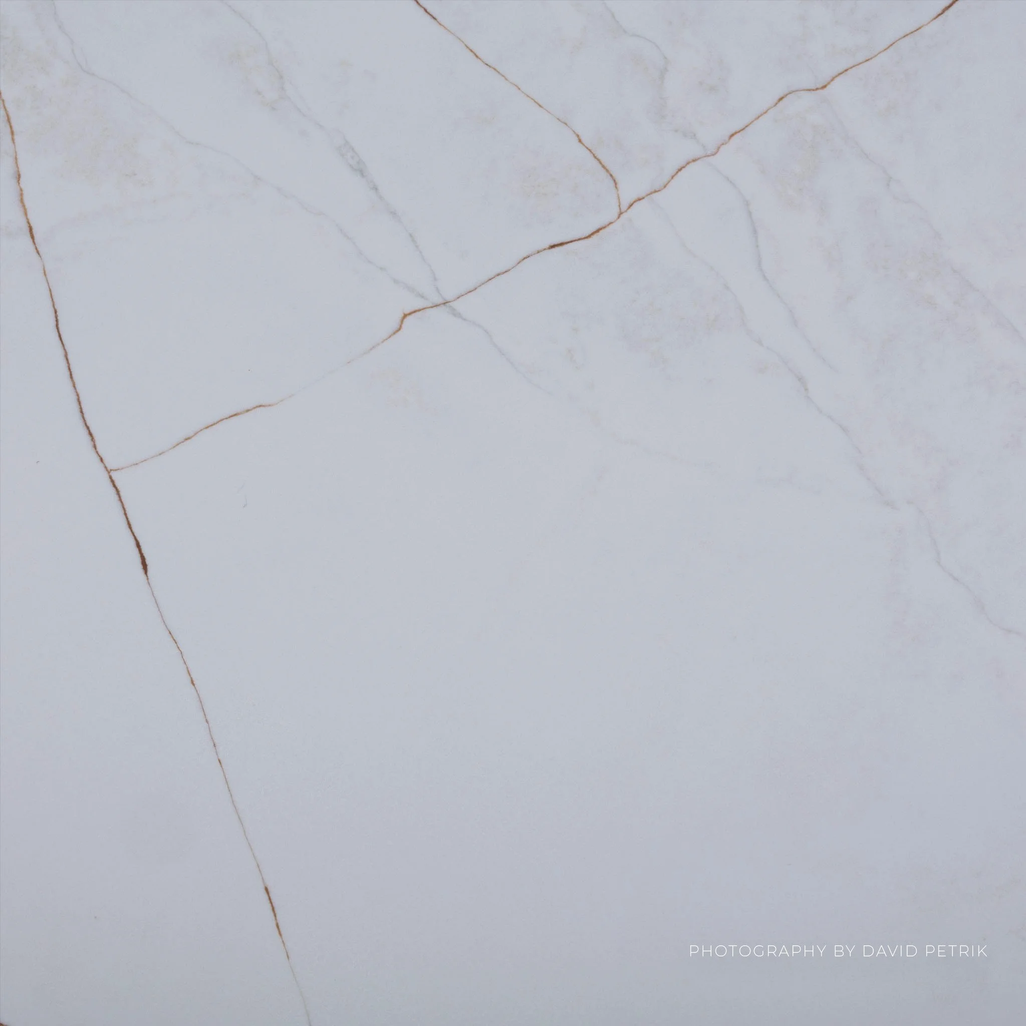 Cortona Studio Macro.jpg