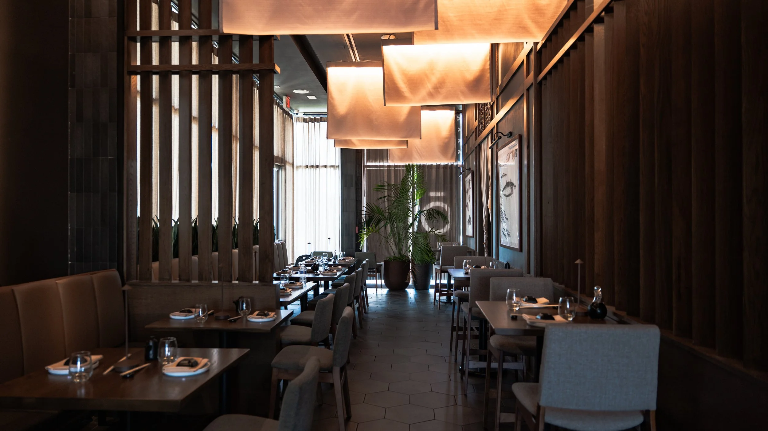 Interior shot of Zoto Sushi in Sarasota, FL