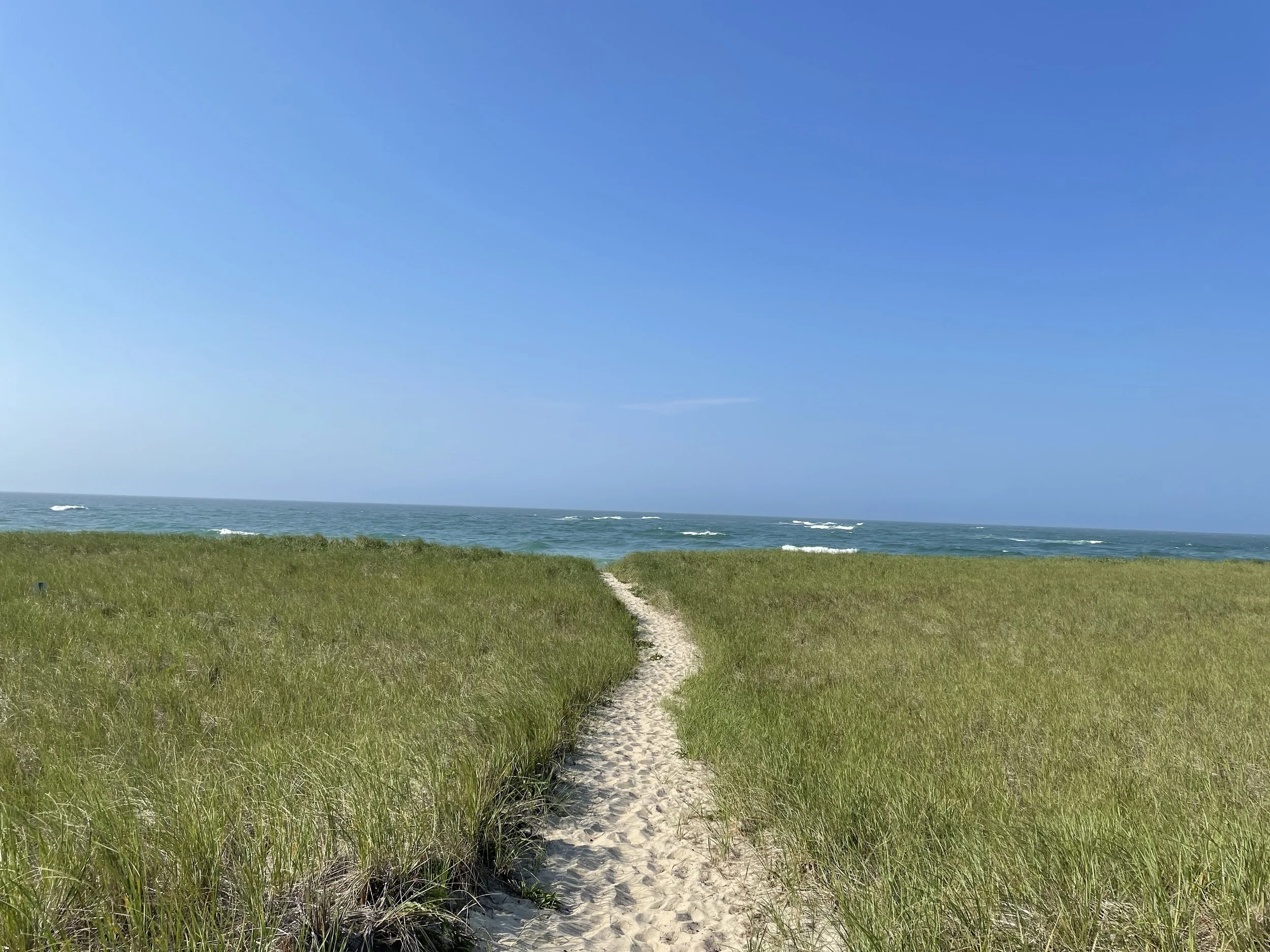 zz - z6 - IMG_5773.jpg