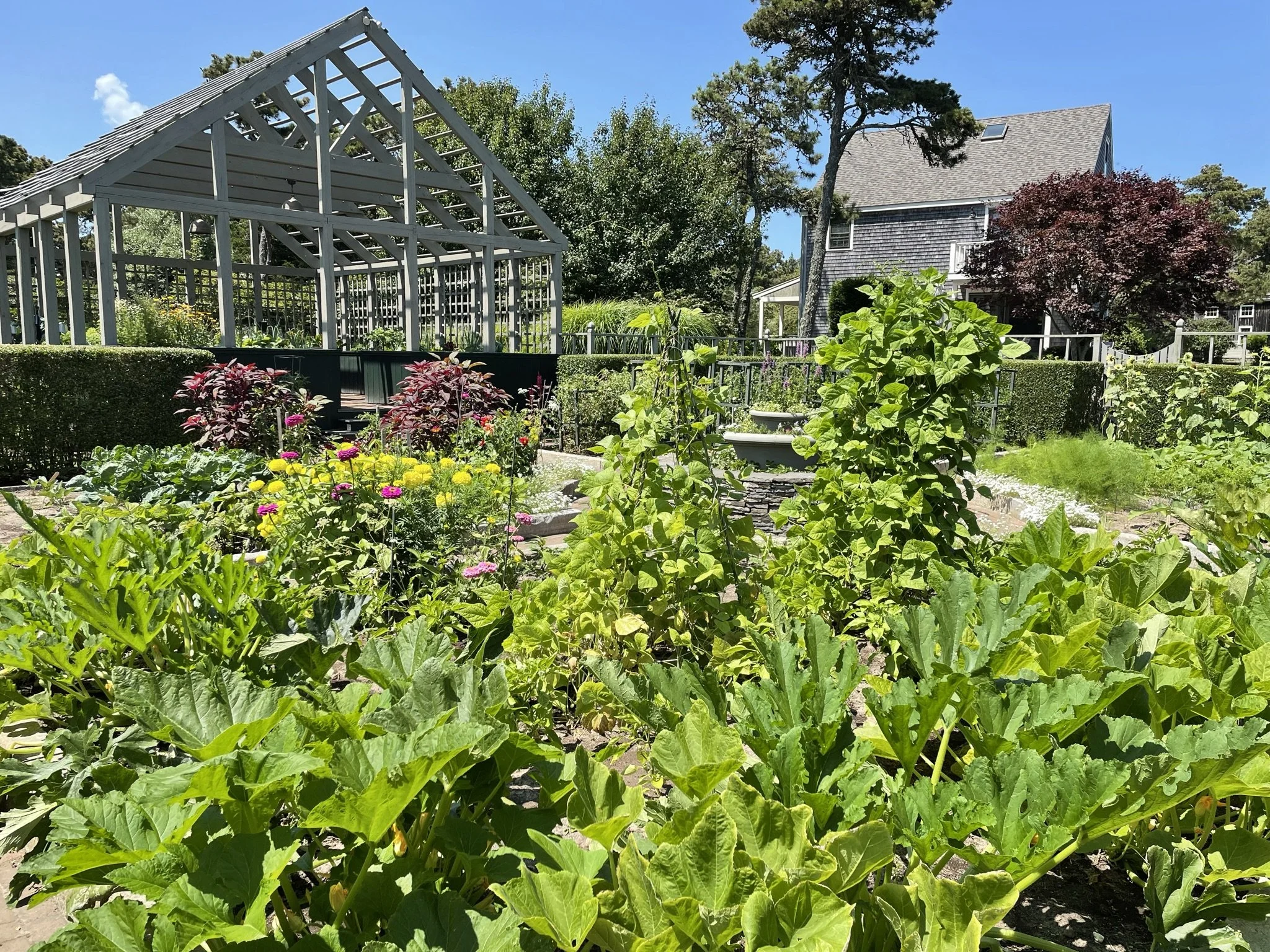 k - 5a - IMG_6576.JPEG