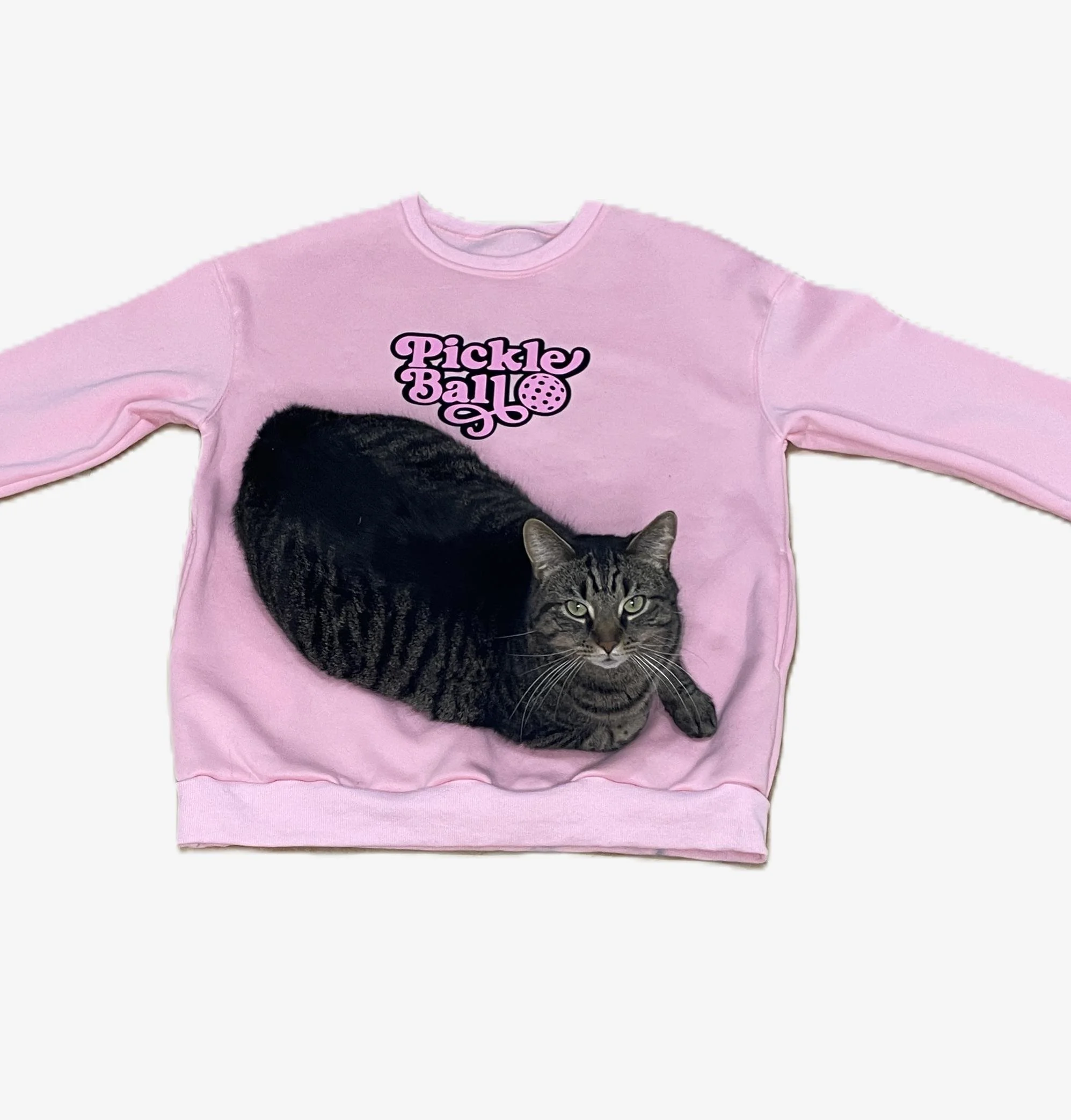 Pink PB Swirl Kitty.JPG