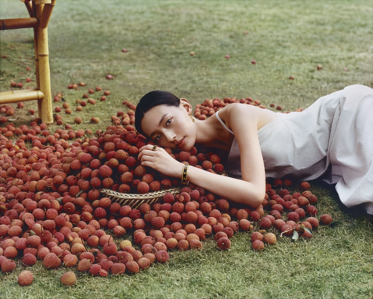 CTF_LYCHEE_MODEL_V1.jpg