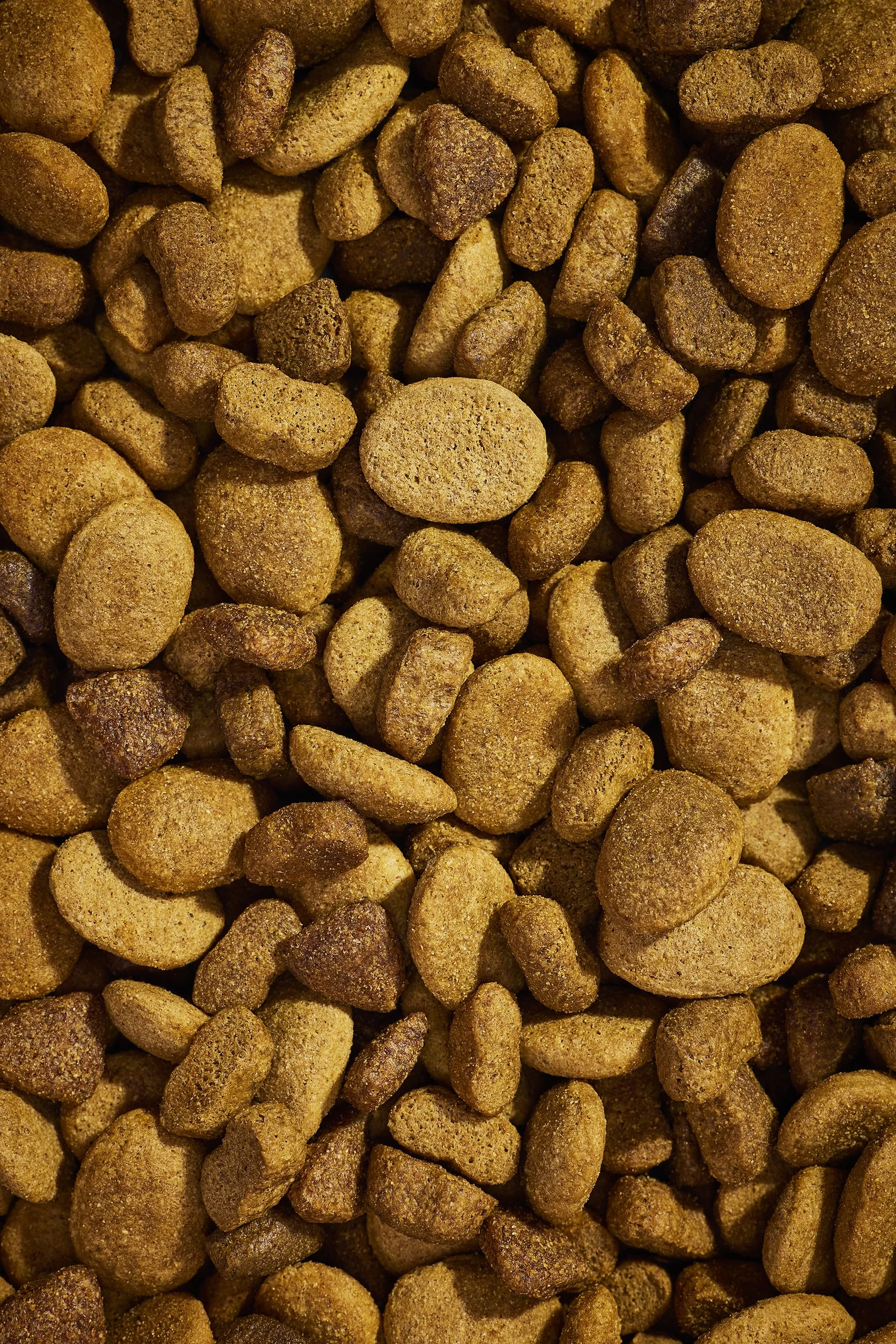 MacroKibble V1_Tails 17_RT.jpg