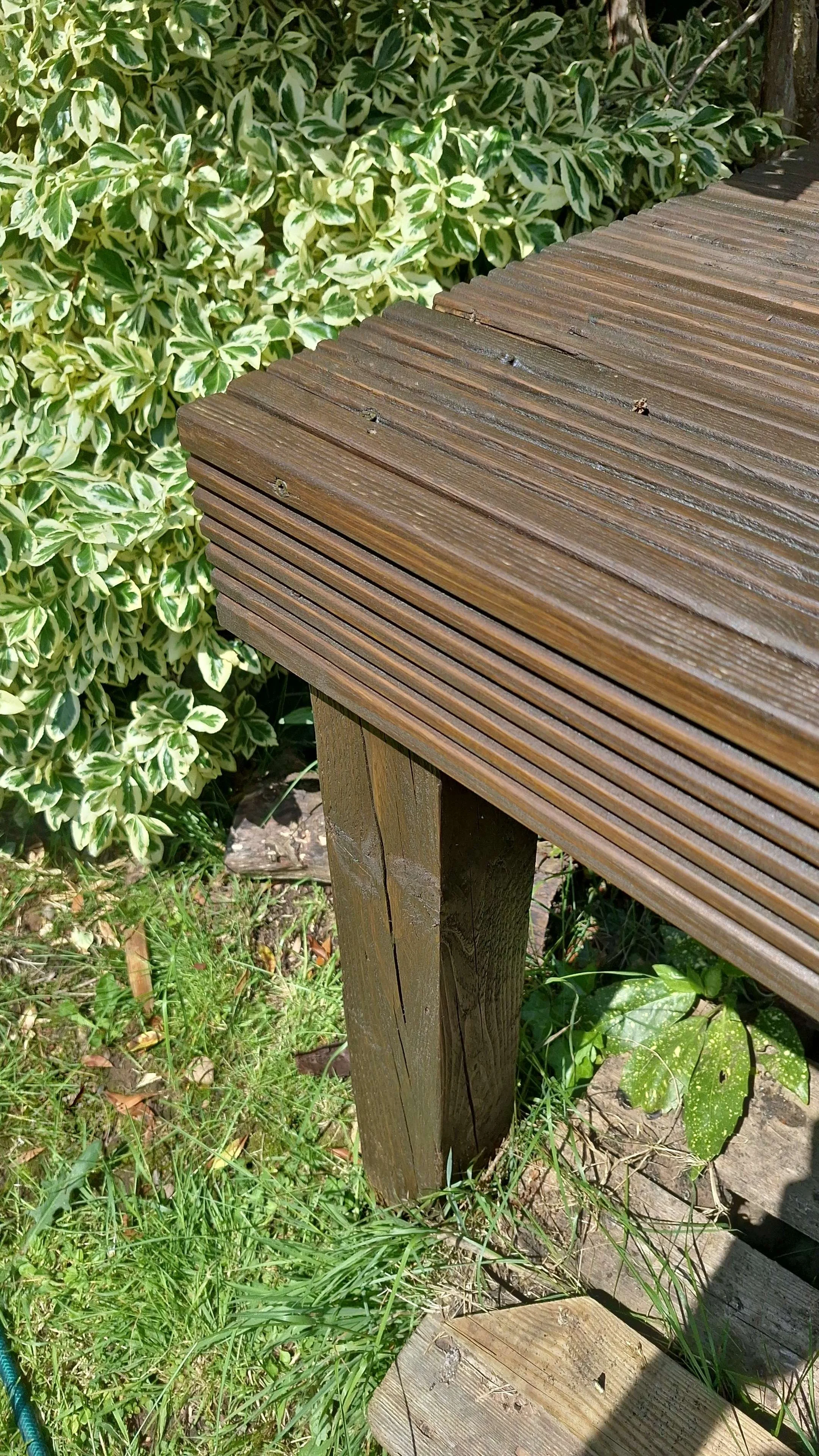 A wooden outdoor bench with a slatted surface, surrounded by green plants and grass.
