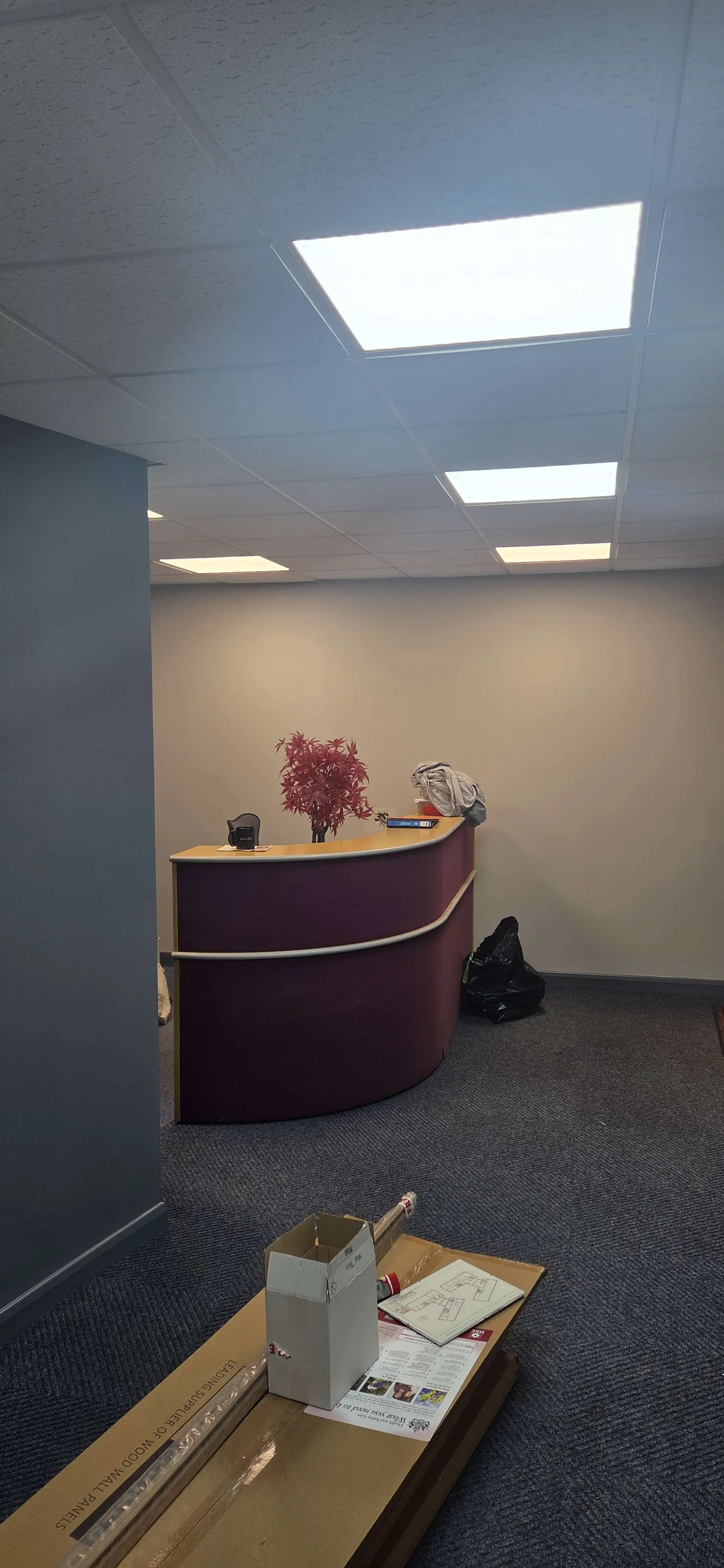 An empty office or reception area with a curved purple counter, a red leaf-like plant, some scattered papers, a black chair, and a black trash bag. The ceiling has fluorescent lights, and the carpeted floor has a box and some long items.