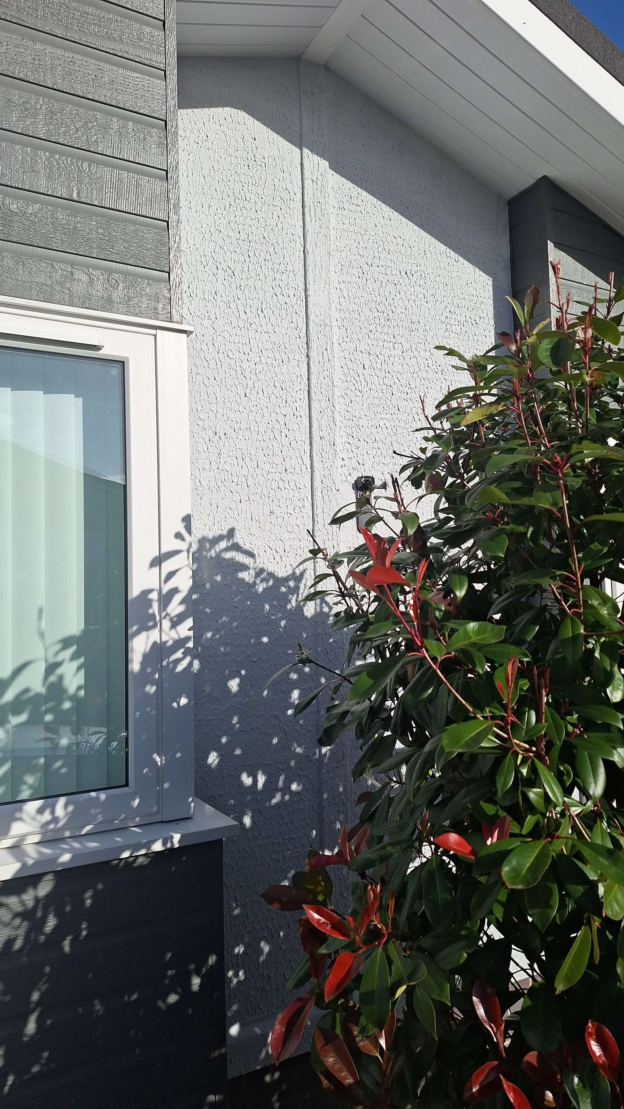 Close-up view of a gray house wall with textured stucco finish, a window with a white frame, and a bush with green and red leaves casting shadows on the wall.