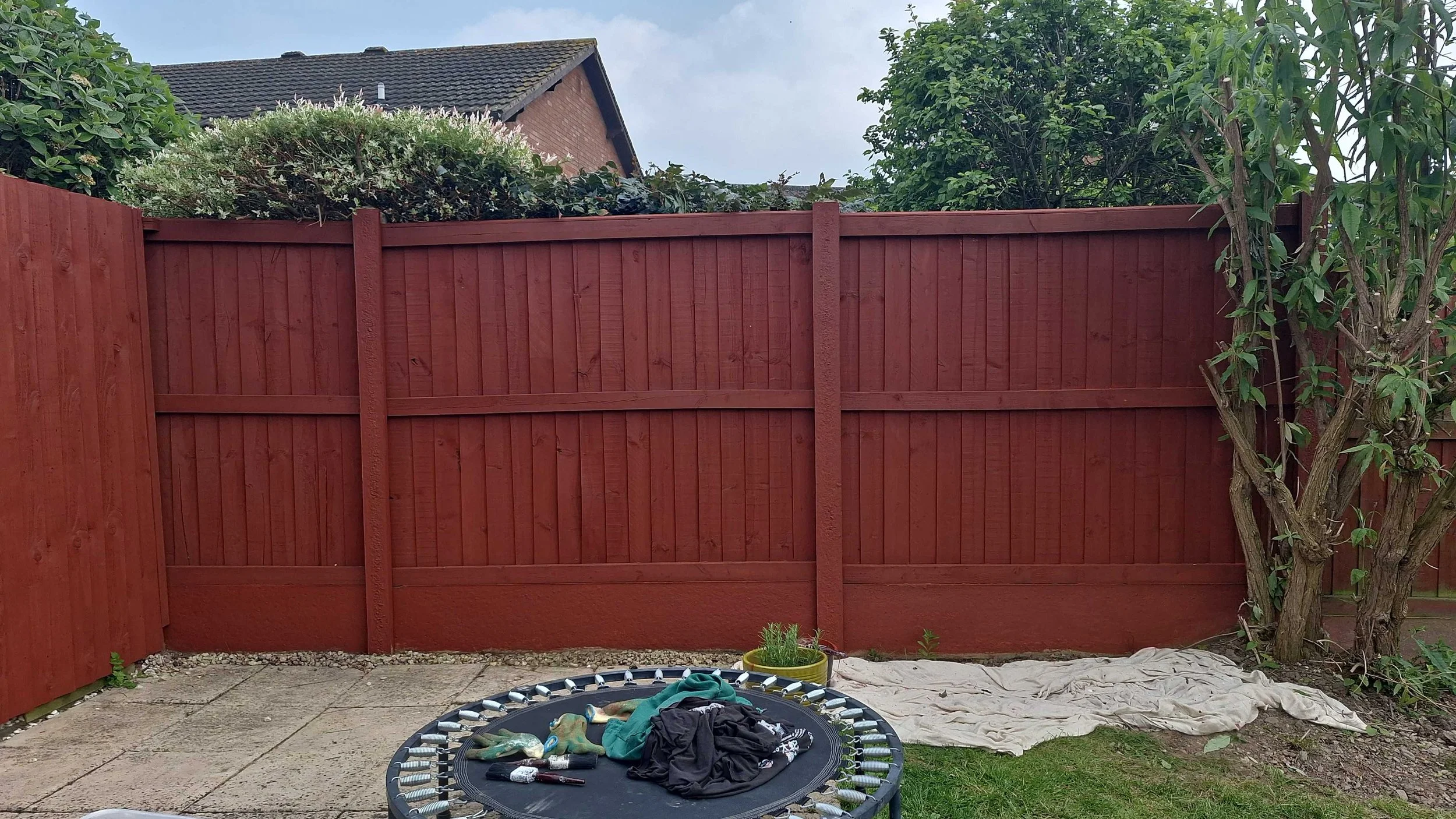 Backyard with a tall red wooden fence, small trampoline with clothes and gardening tools on top, and a tree with green leaves on the right side. There is a beige tarp on the ground near the tree, and a potted plant with green foliage at the base of the fence. The sky is partly cloudy, and there is a house with a sloped roof visible over the fence.