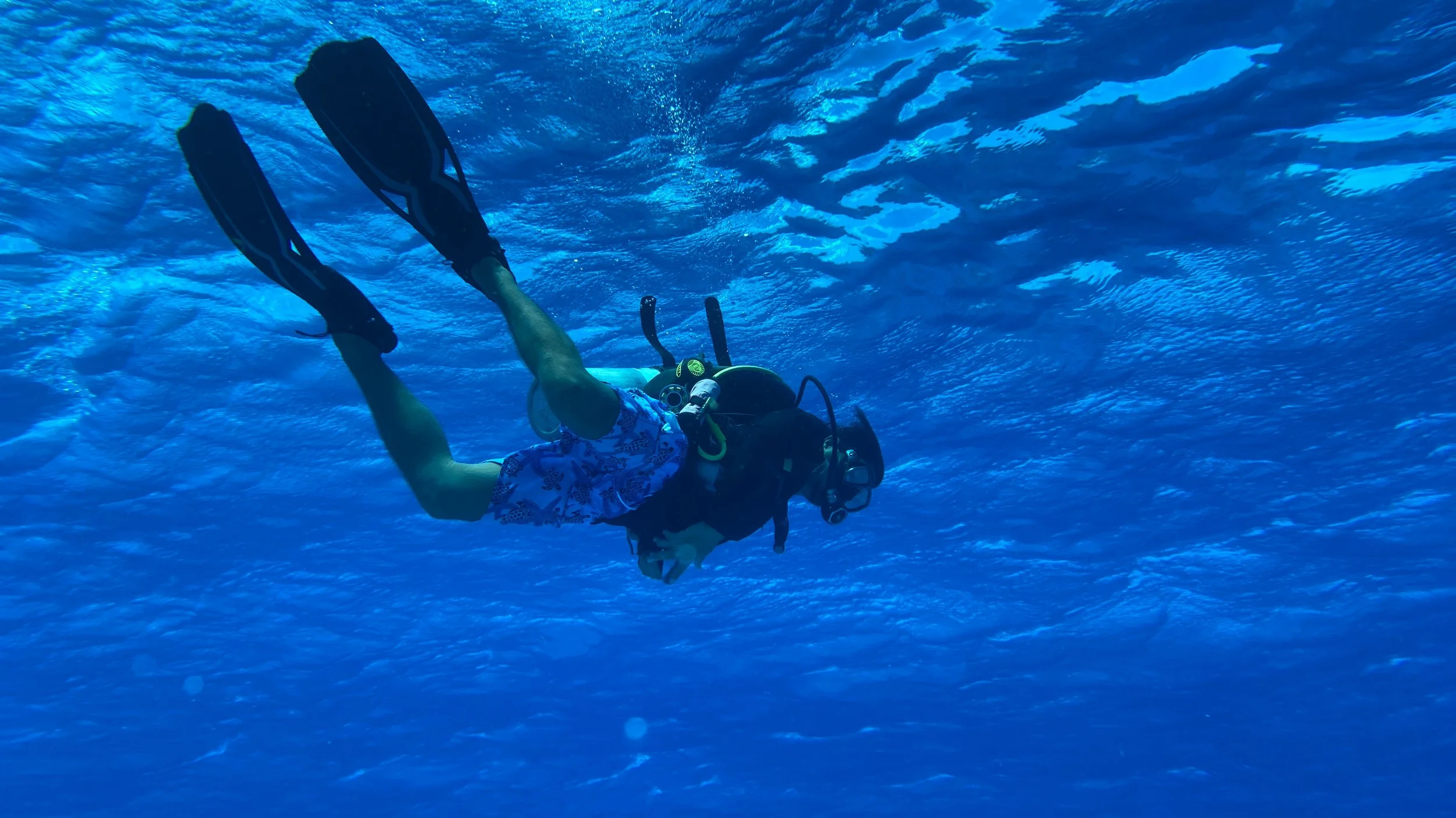 SportDiver_20250527_102305.jpg