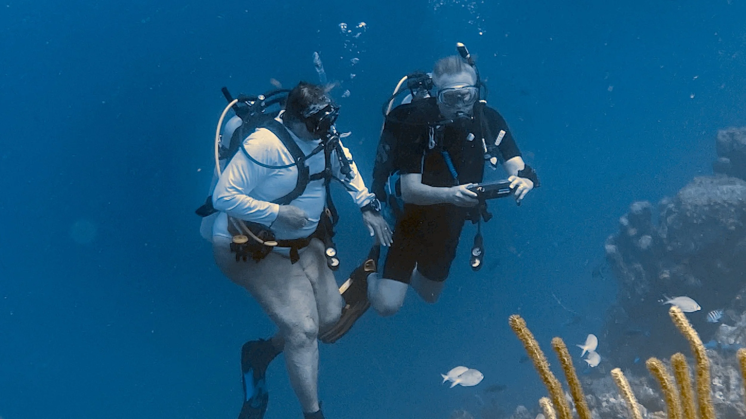 SportDiver_20250723_175559.jpg