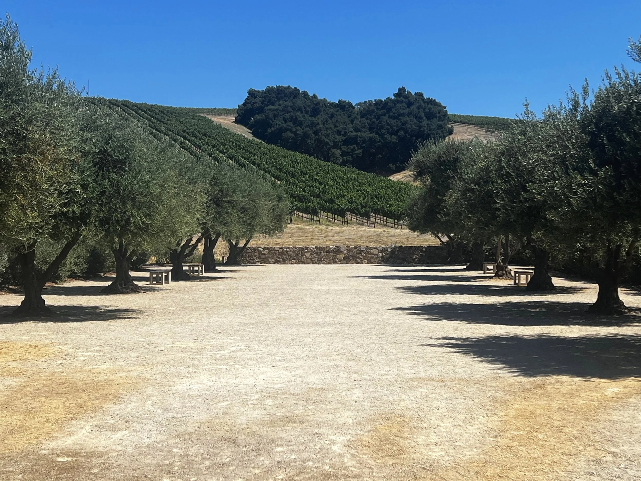 Paso Robles: California Road Trip Meets Fine Wine and Craft Beer