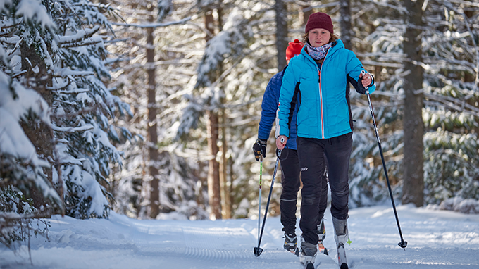 Two hikers cross-country skiing through a snow-covered forest, wearing winter jackets, hats, and gloves.