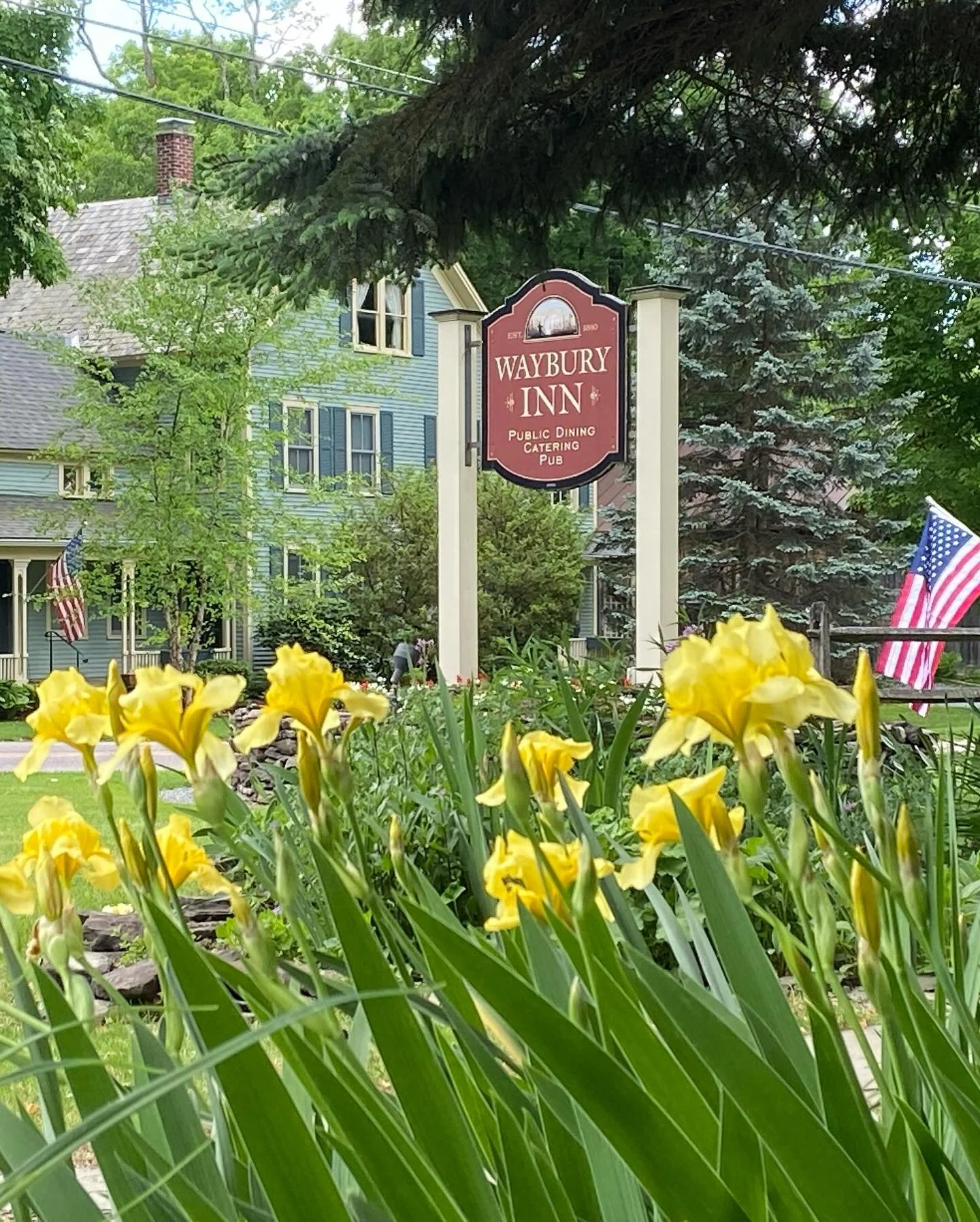 Yellow flowers in the foreground with a sign for Waybury Inn in the background amid green trees and American flags.