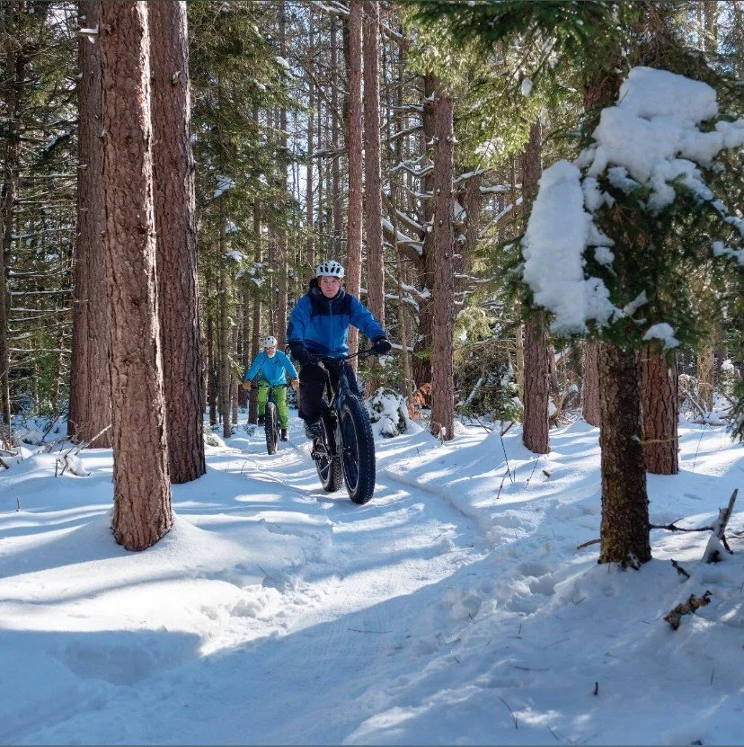 Two people mountain biking on a snowy trail through a forest with tall pine trees and snow-covered ground.