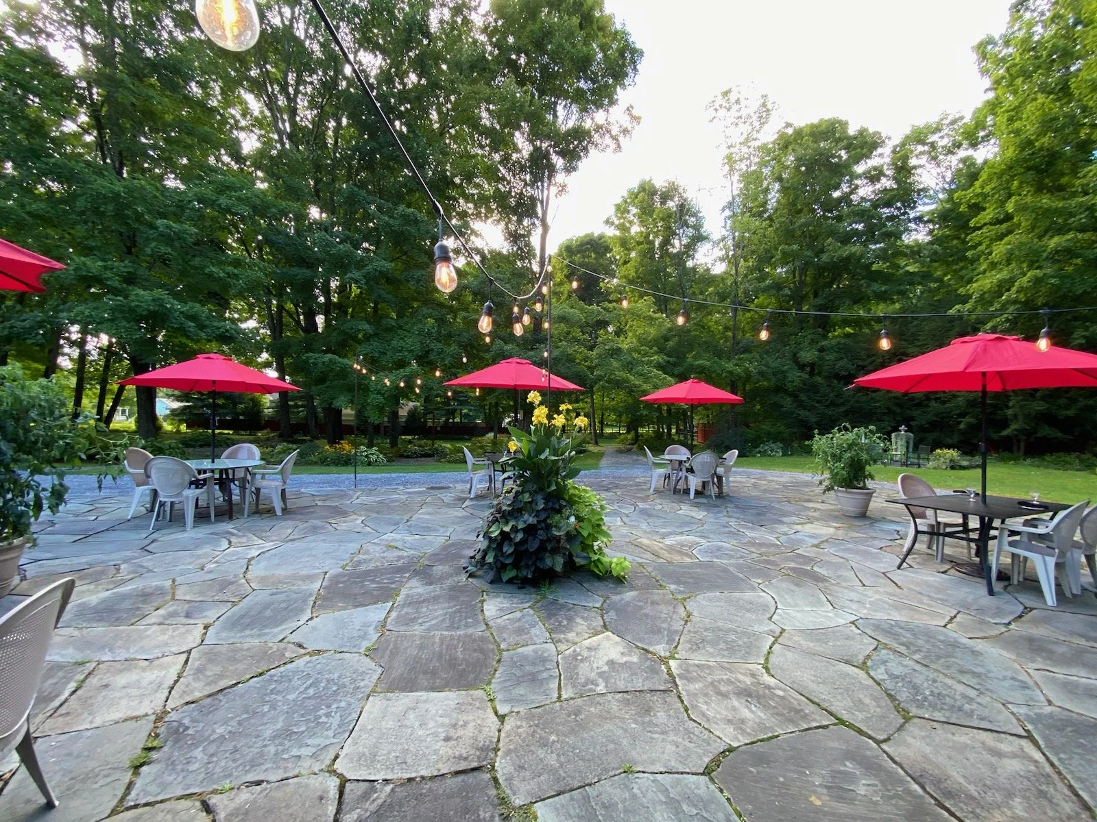 Outdoor patio with stone paving, surrounded by green trees, decorated with string lights, red umbrellas, and white chairs and tables.