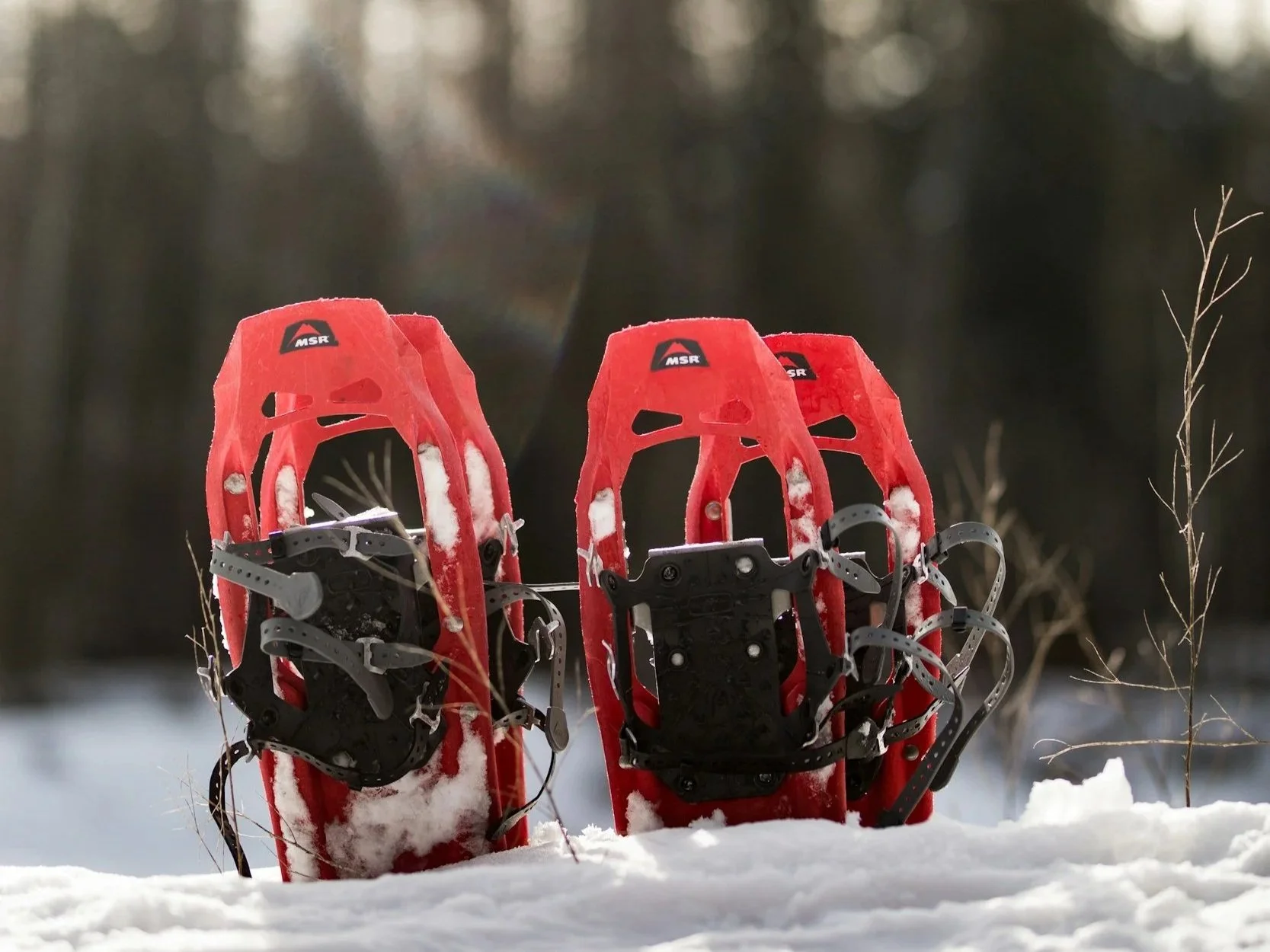 Pair of red snowshoes with metal binding on snow in a winter landscape.