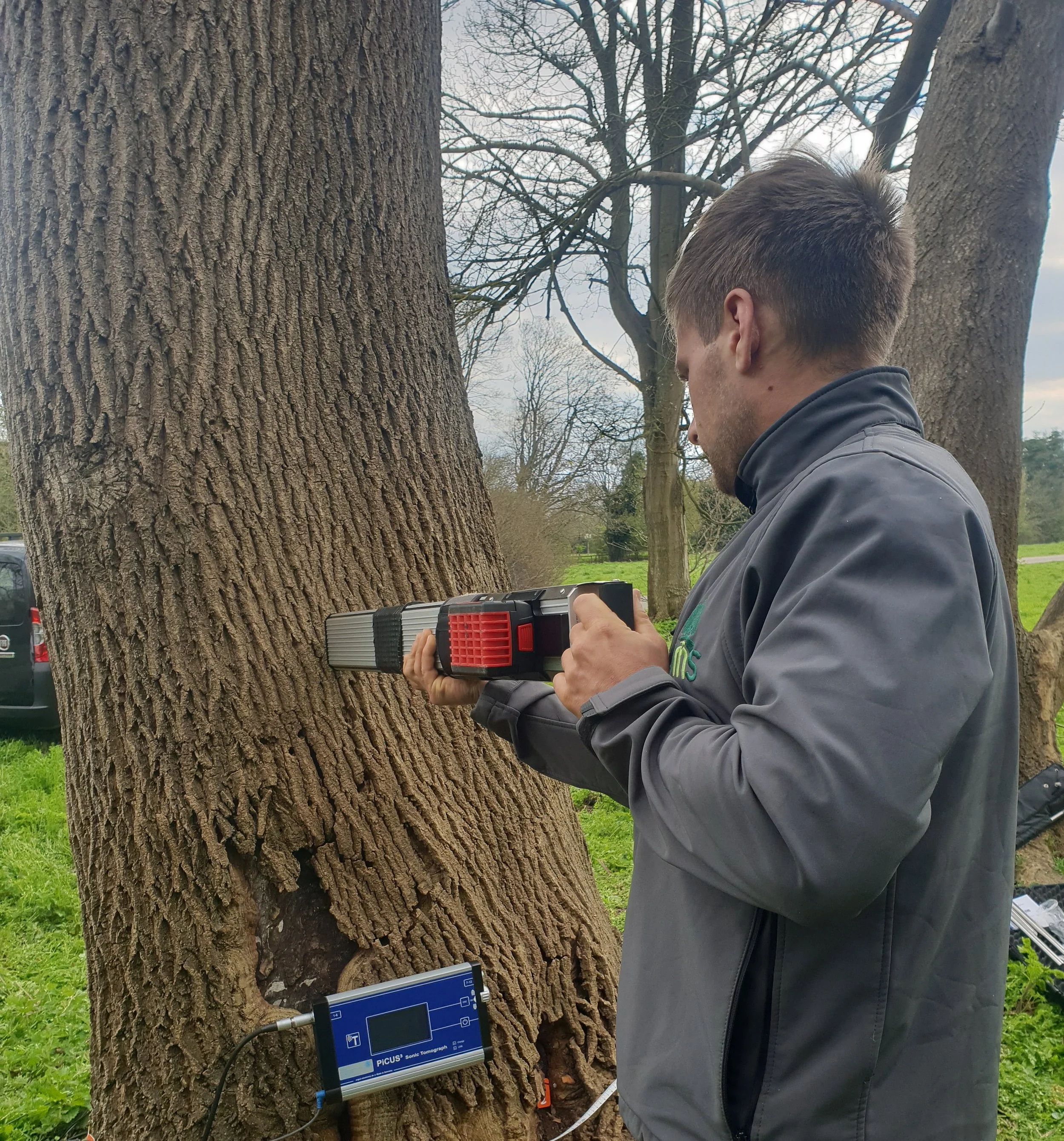 A man using a handheld device to examine a large tree in a park.